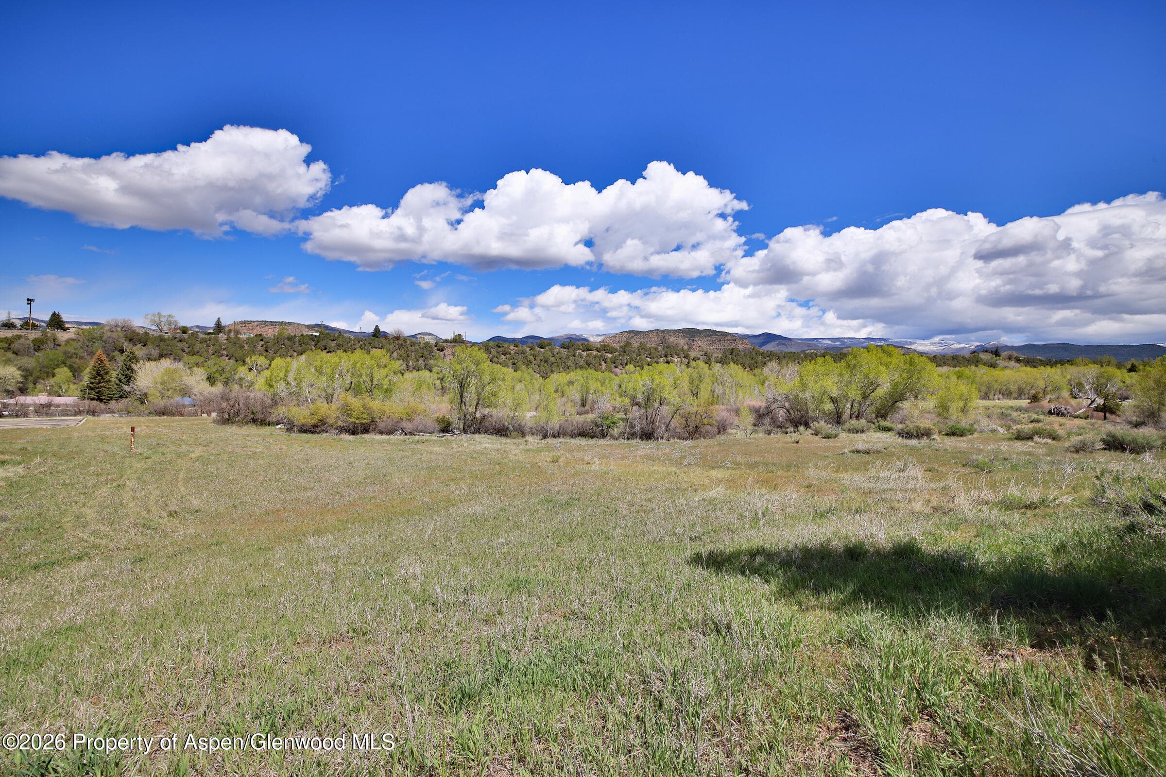 1006 Spring Street, Collbran, CO 81624 - Photo 12