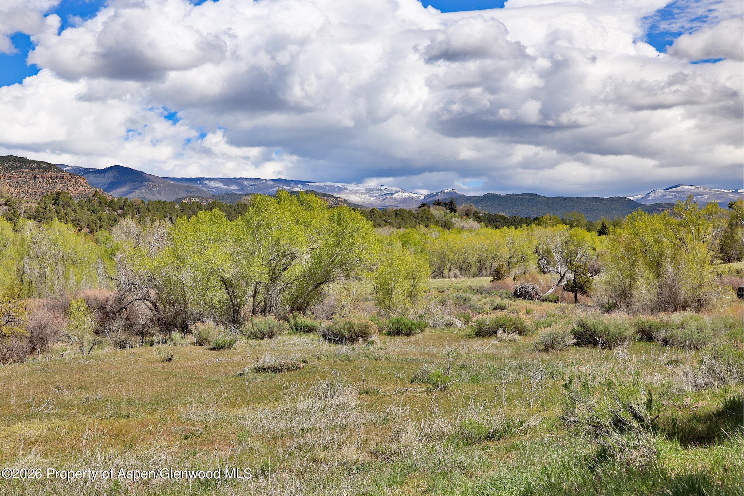 1006 Spring Street, Collbran, CO 81624 - Photo 13