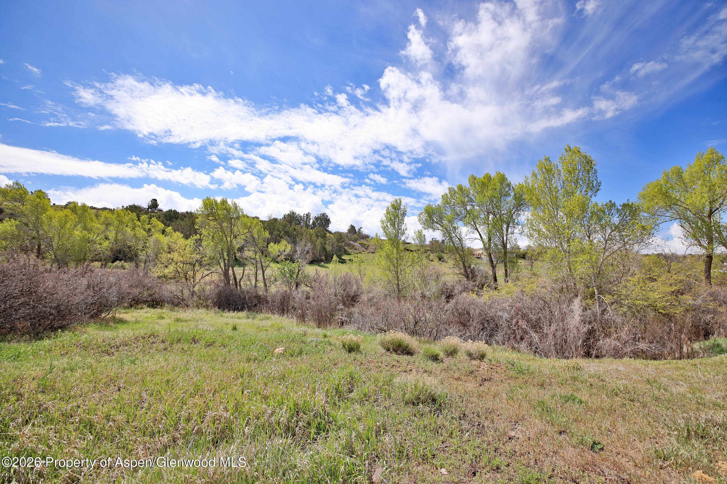 1006 Spring Street, Collbran, CO 81624 - Photo 14