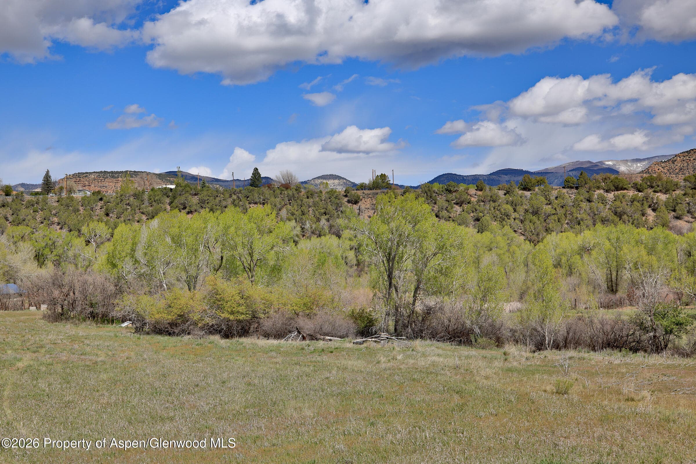1006 Spring Street, Collbran, CO 81624 - Photo 15