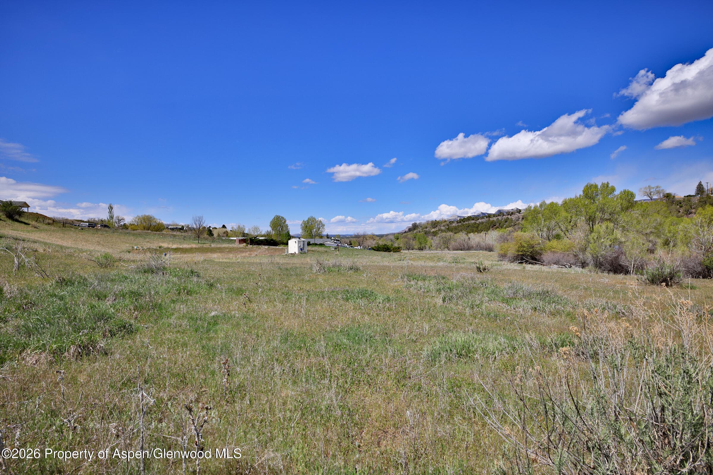 1006 Spring Street, Collbran, CO 81624 - Photo 16