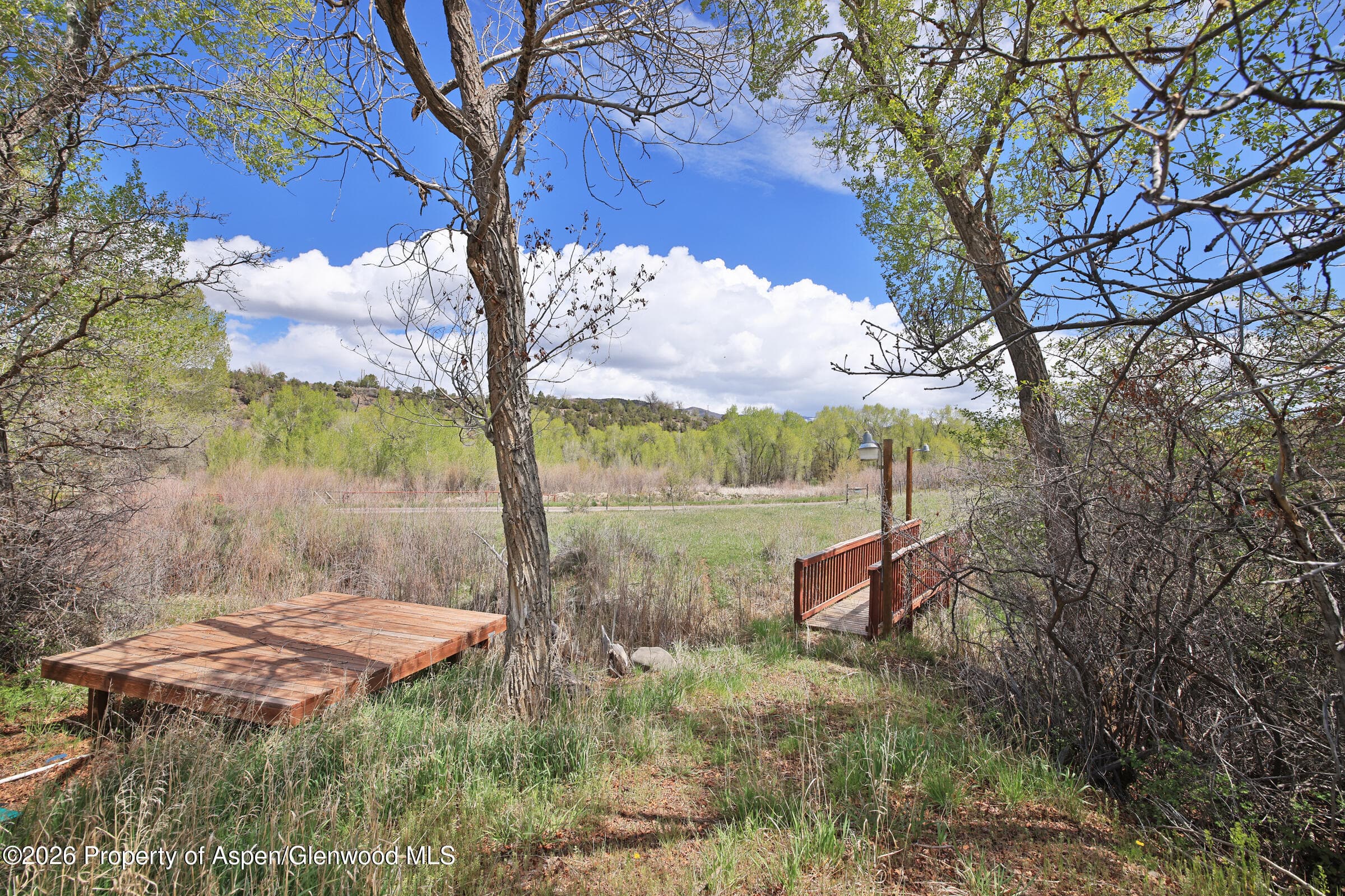 1006 Spring Street, Collbran, CO 81624 - Photo 17