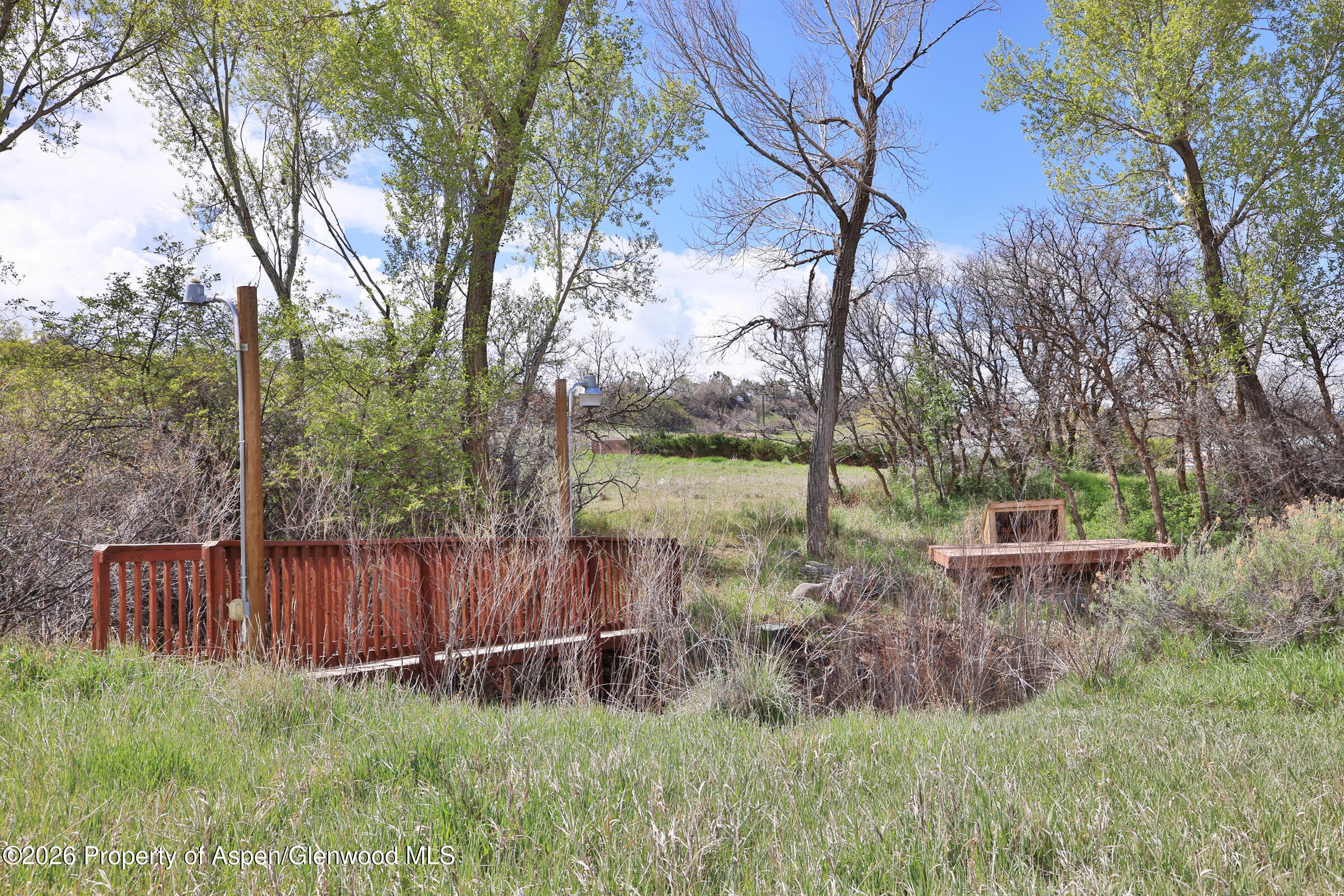 1006 Spring Street, Collbran, CO 81624 - Photo 19