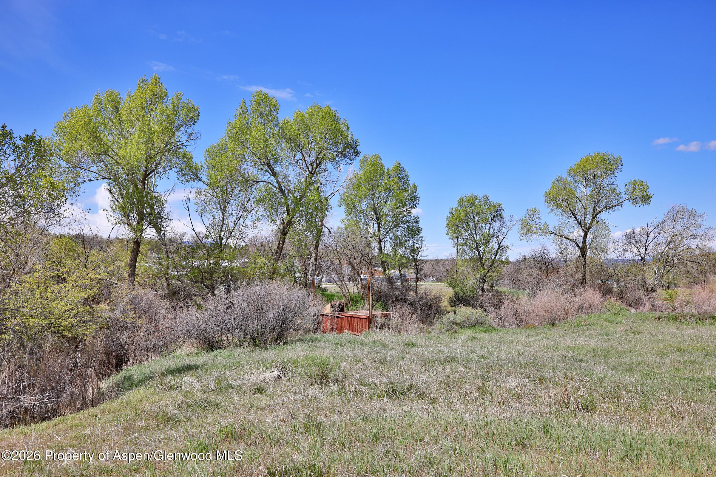 1006 Spring Street, Collbran, CO 81624 - Photo 20