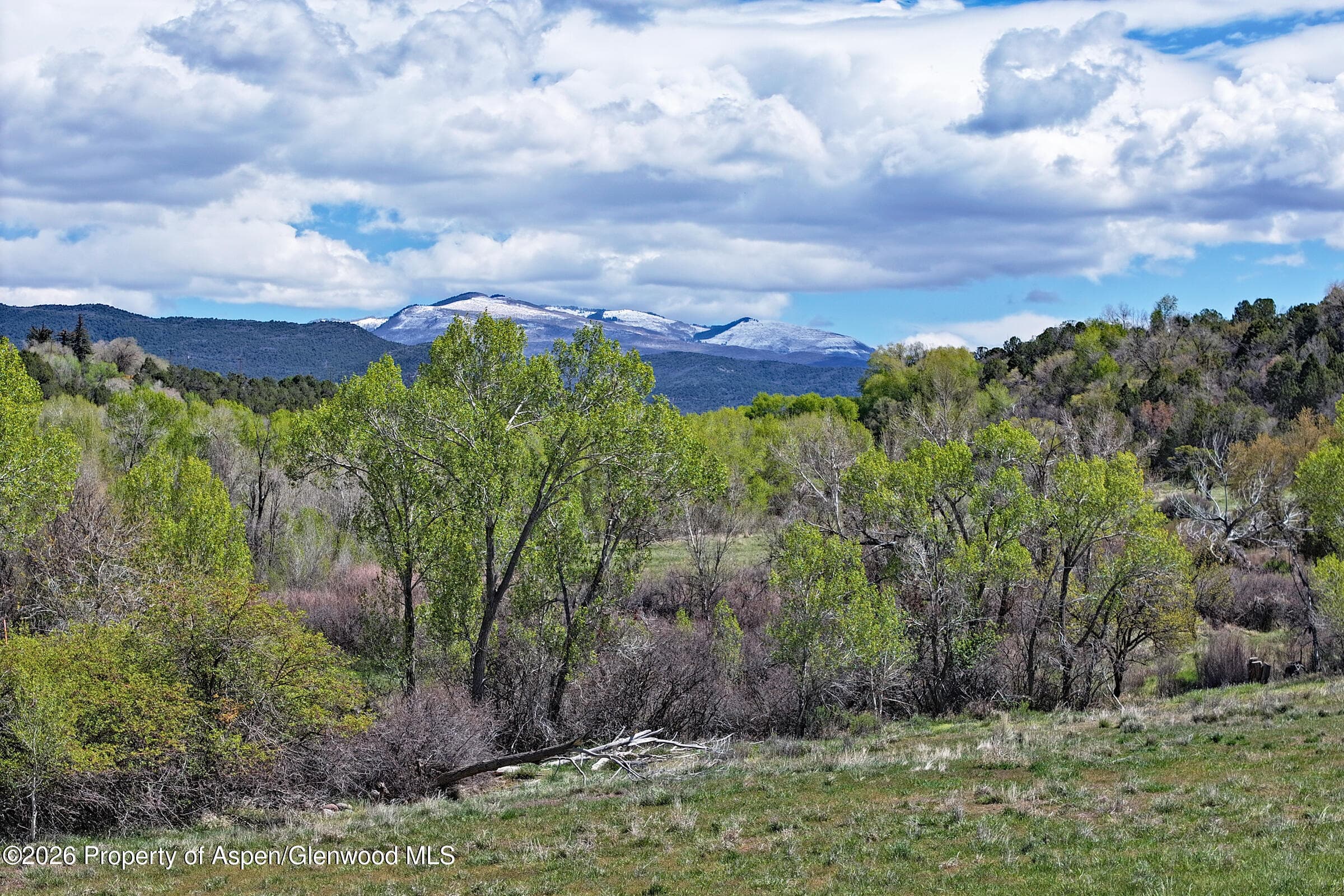 1006 Spring Street, Collbran, CO 81624 - Photo 21