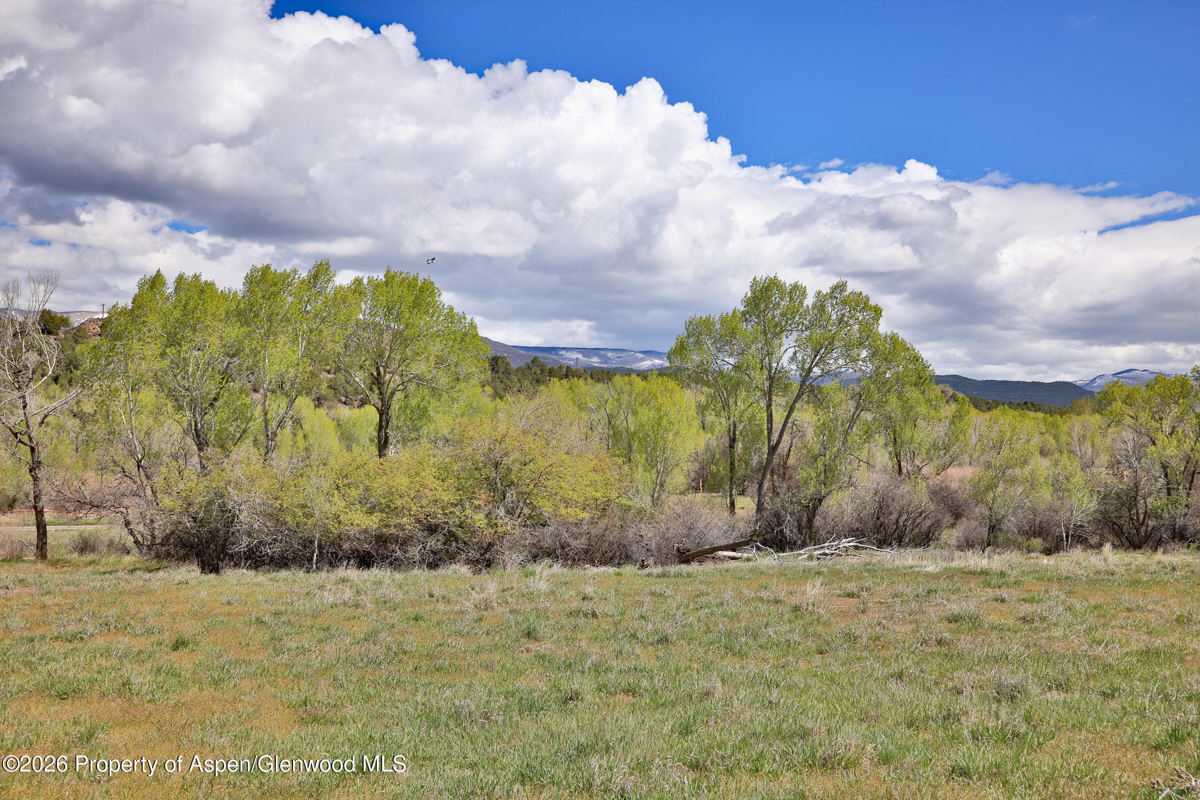 1006 Spring Street, Collbran, CO 81624 - Photo 22