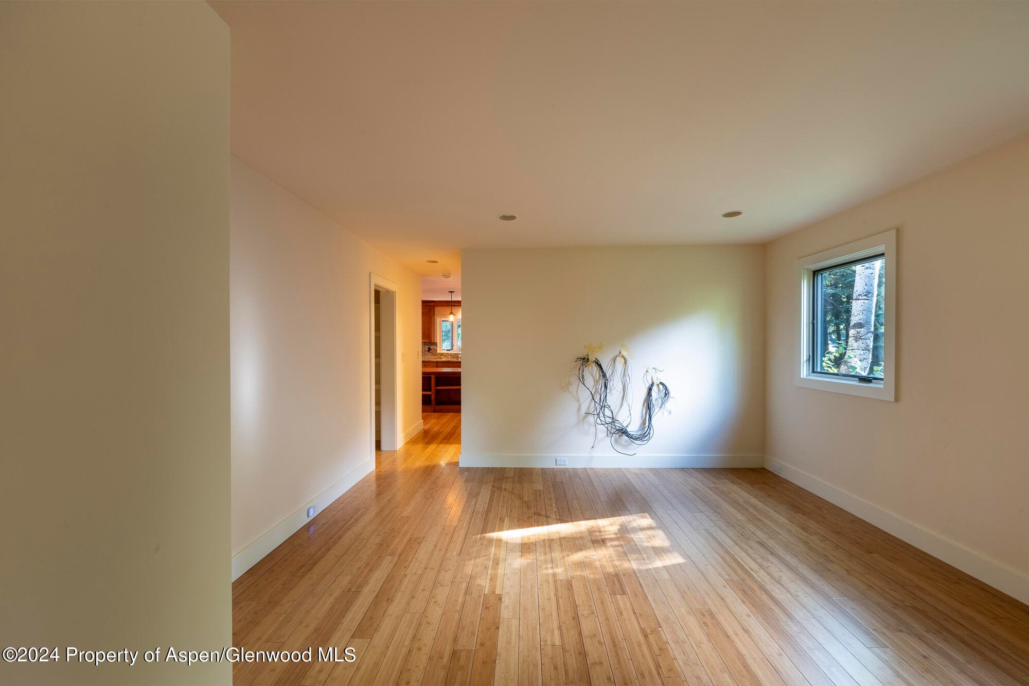 58 Maroon Drive, Aspen, CO 81611 - Photo 28