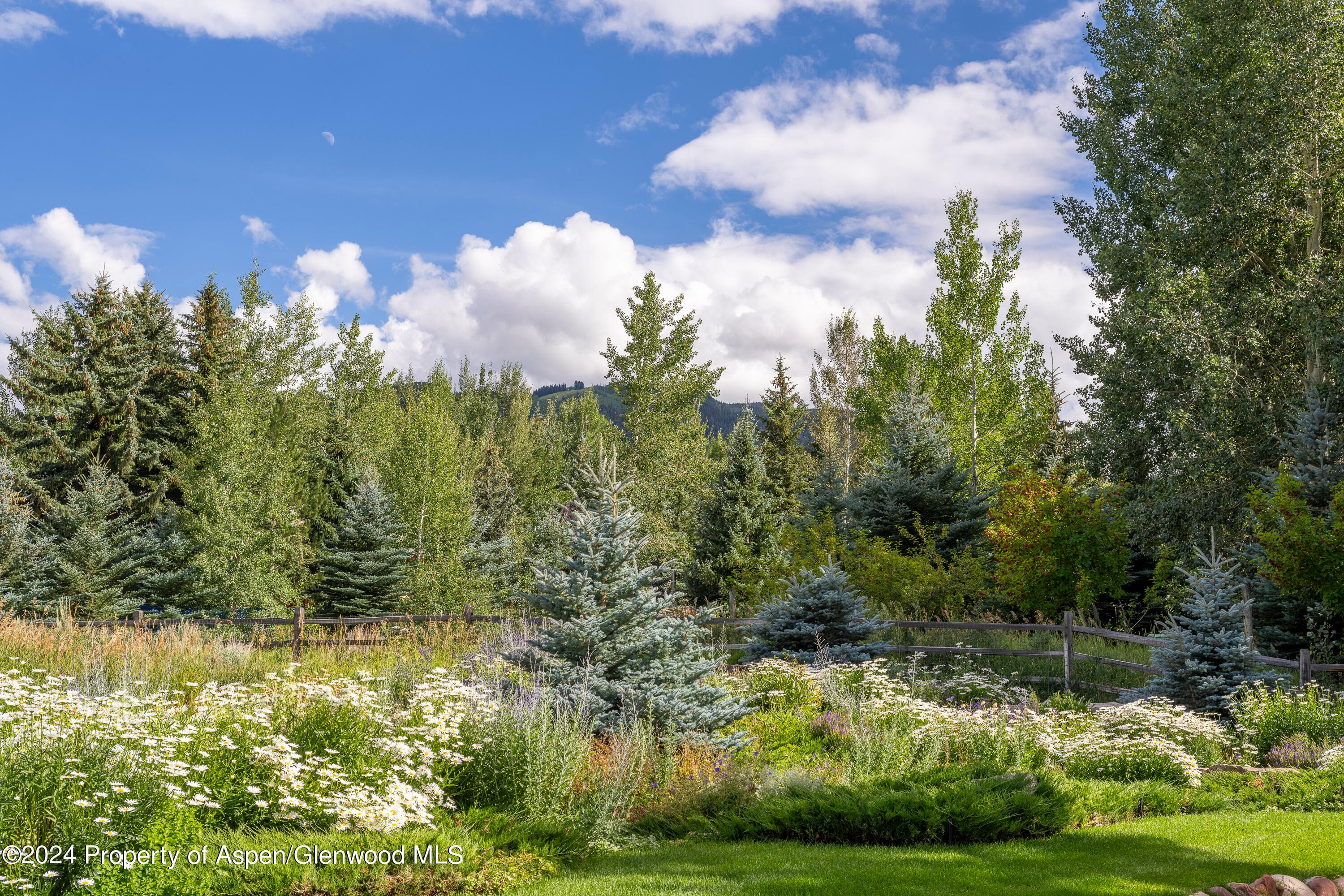 58 Maroon Drive, Aspen, CO 81611 - Photo 39