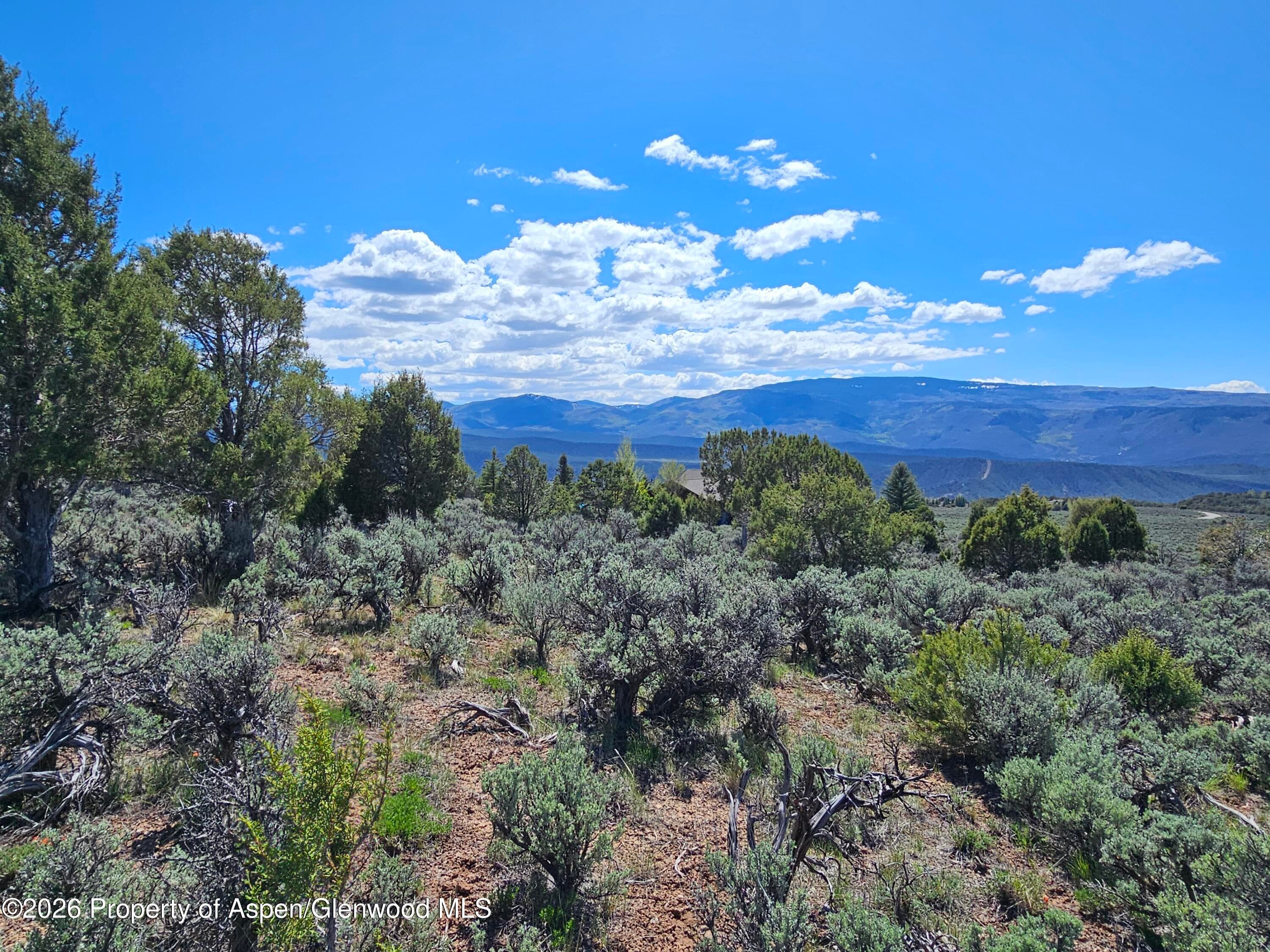 369 Woodruff Road, Glenwood Springs, CO 81601 - Photo 8