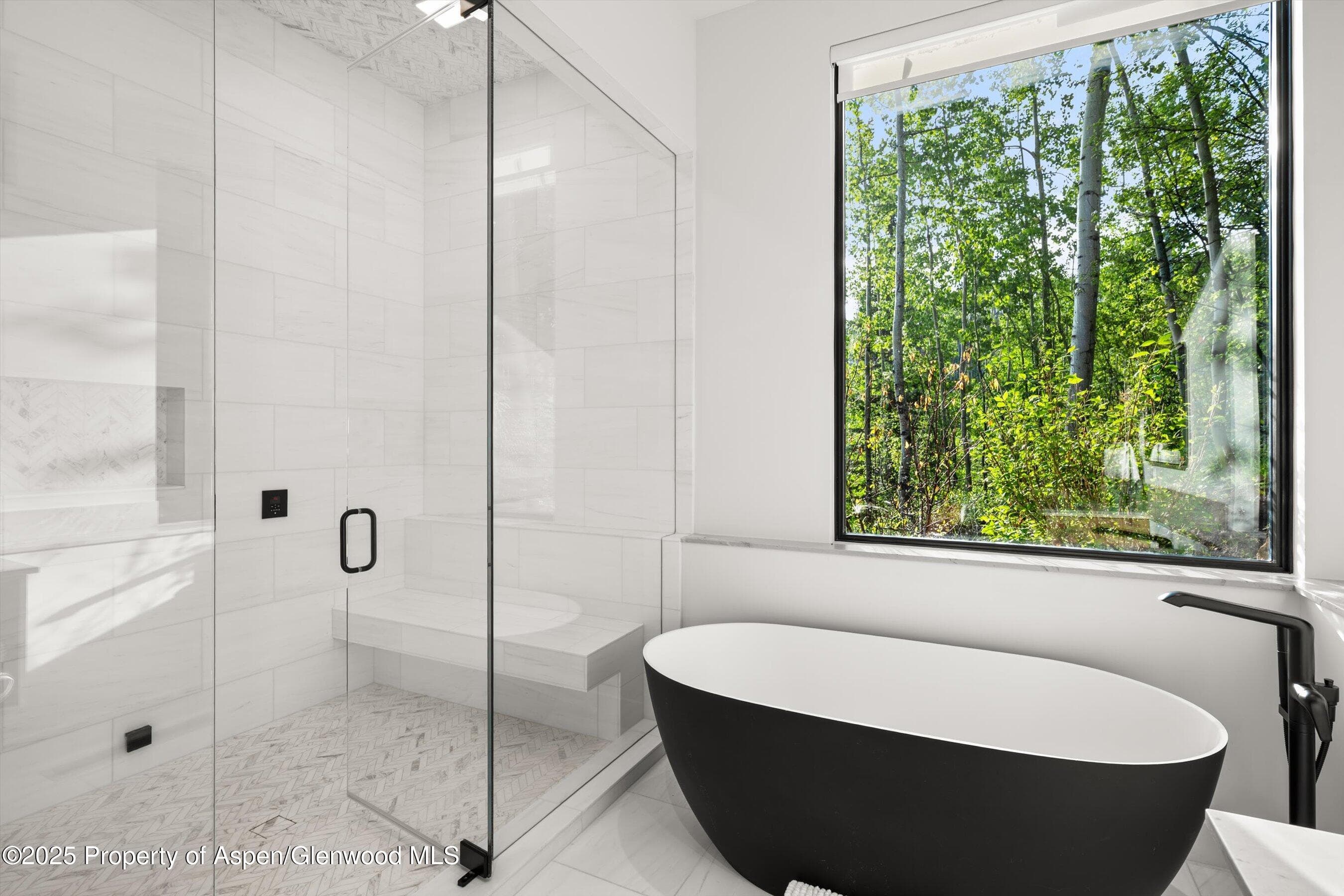 1234 Wood Road, Snowmass Village, CO 81615 - Photo 42