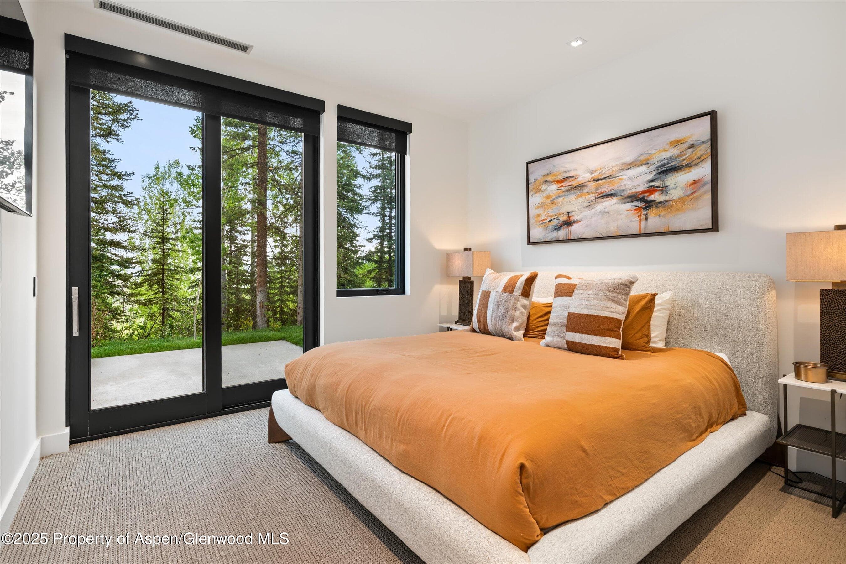 1234 Wood Road, Snowmass Village, CO 81615 - Photo 47