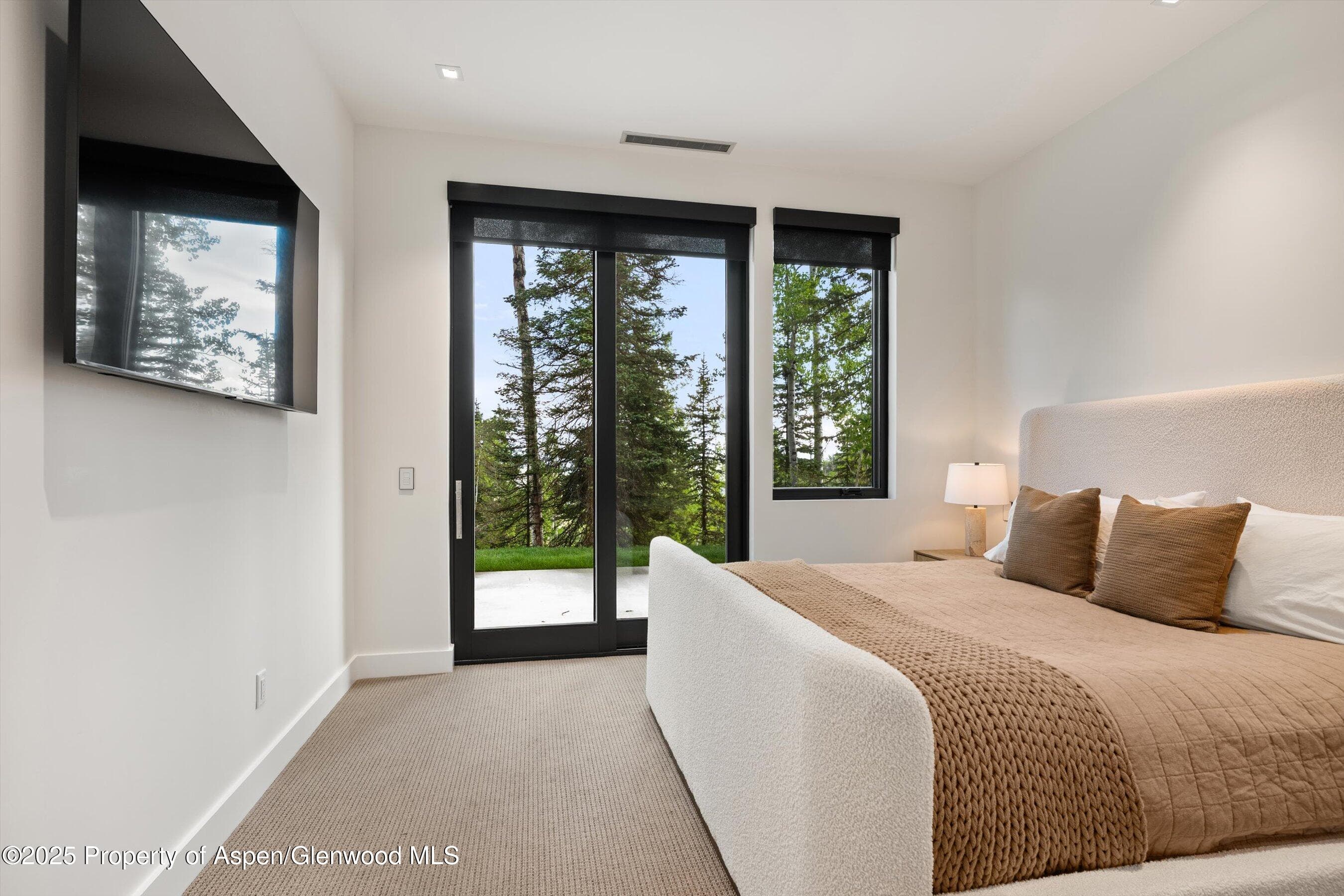 1234 Wood Road, Snowmass Village, CO 81615 - Photo 49