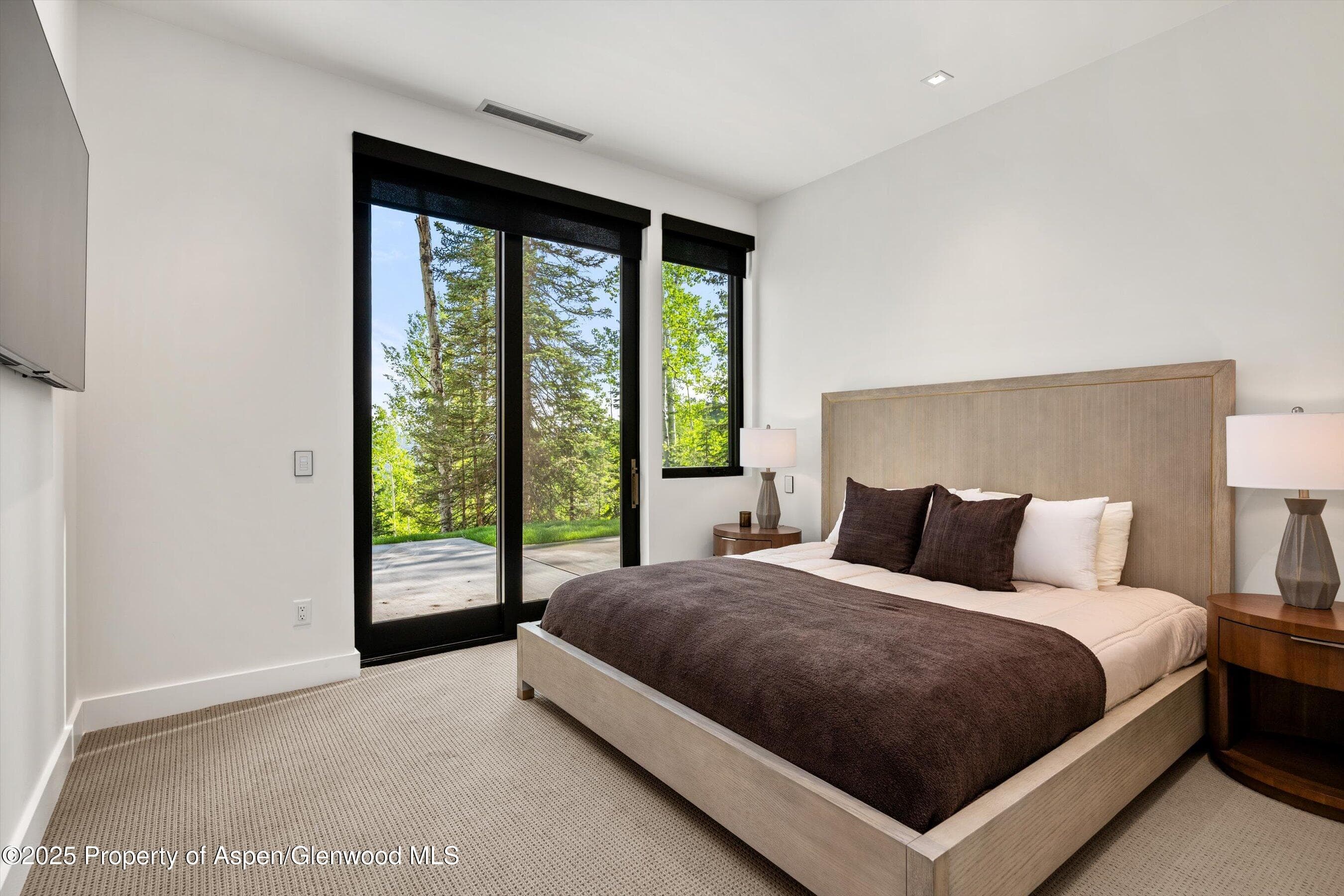 1234 Wood Road, Snowmass Village, CO 81615 - Photo 51
