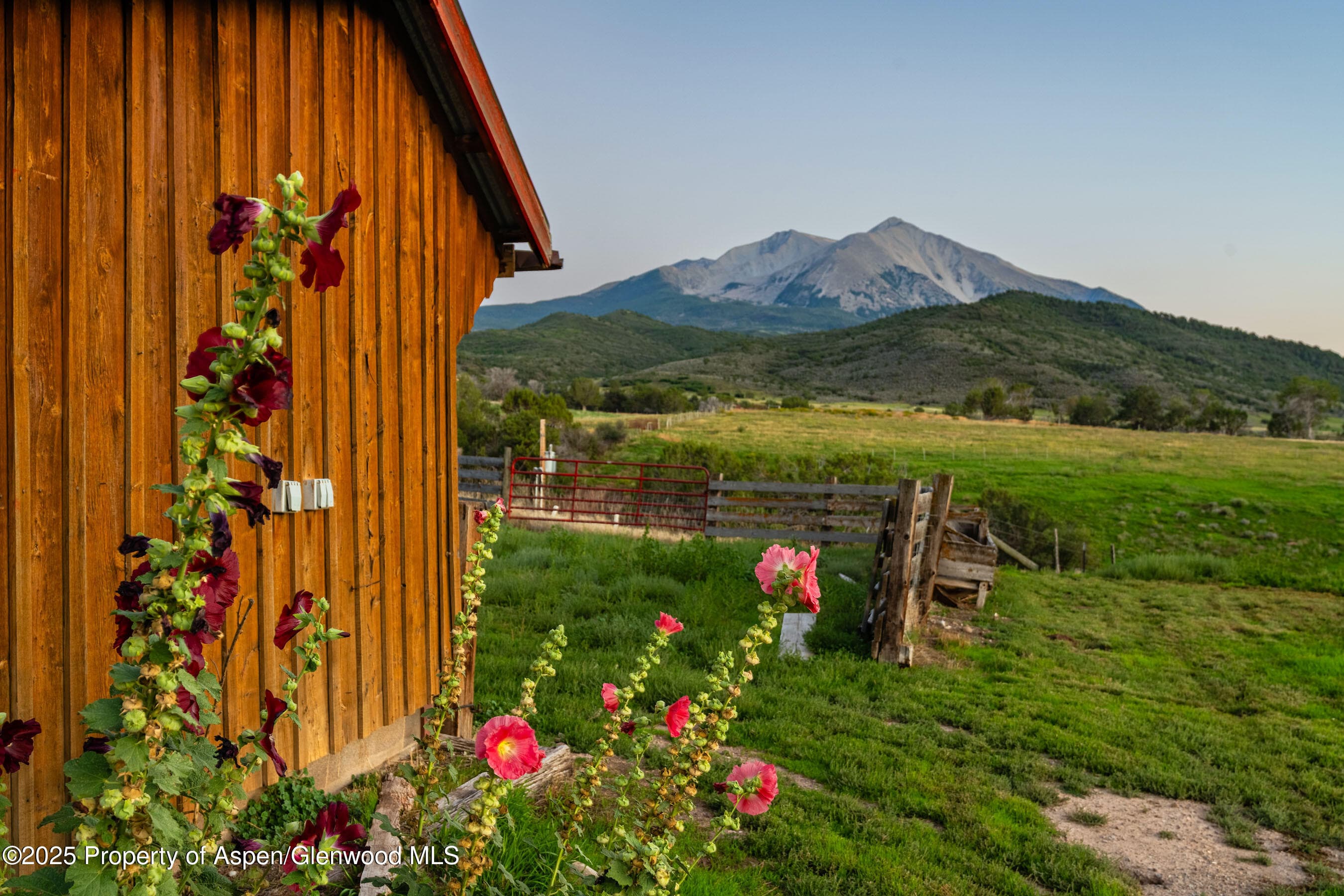 1644 Prince Creek Road, Carbondale, CO 81623 - Photo 11