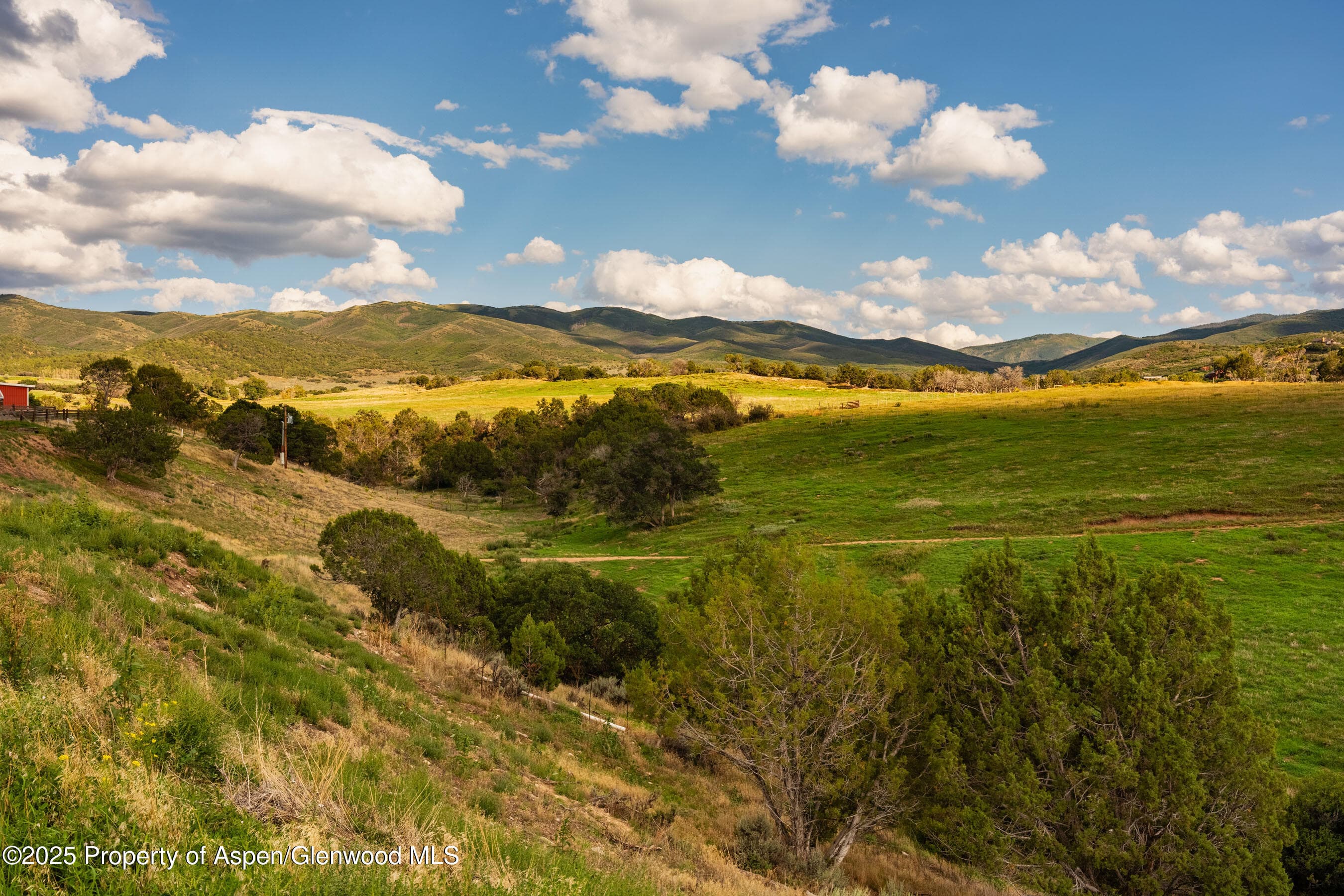 1644 Prince Creek Road, Carbondale, CO 81623 - Photo 34