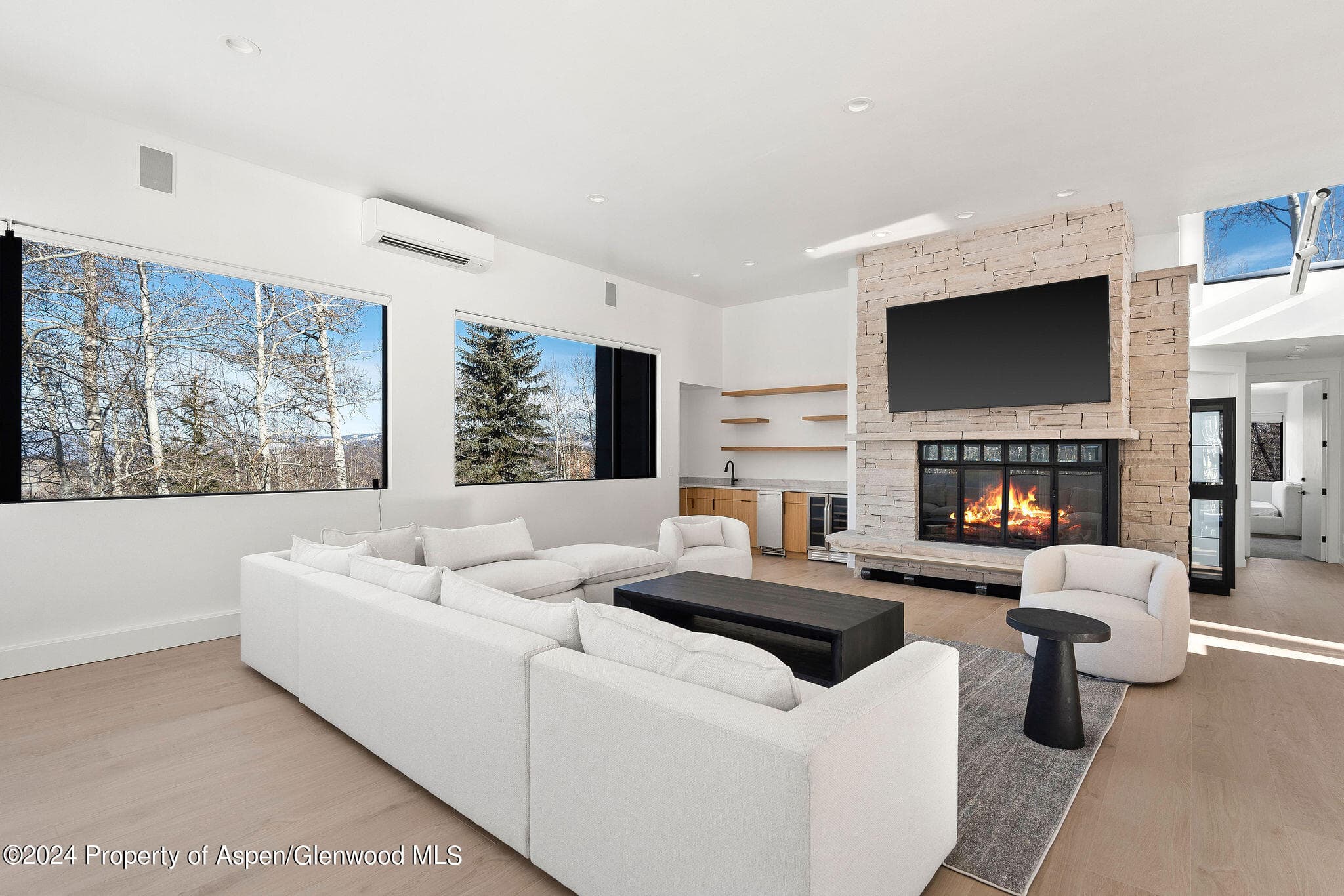 233 Stellar Lane, Snowmass Village, CO 81615 - Photo 11