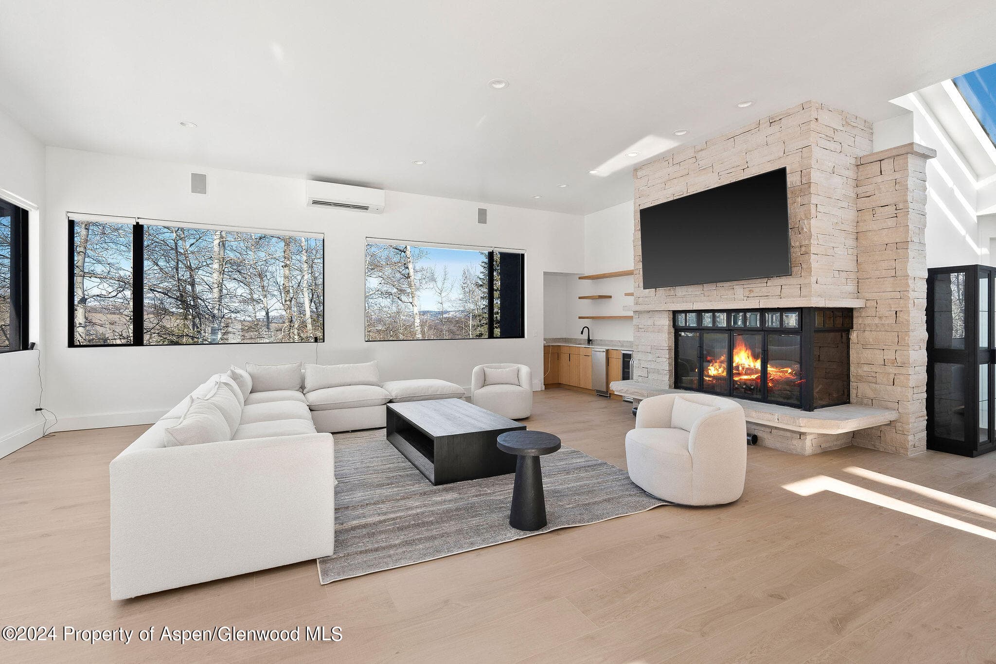 233 Stellar Lane, Snowmass Village, CO 81615 - Photo 2