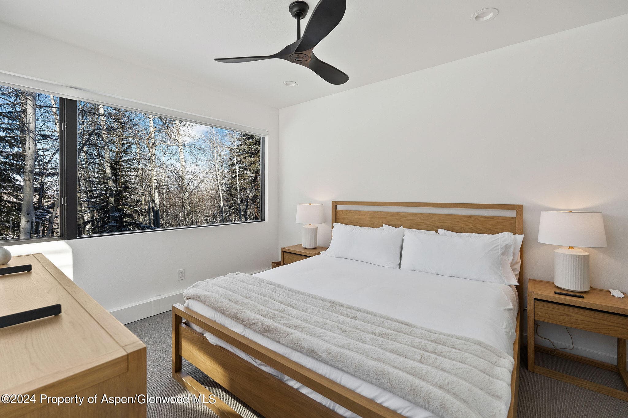 233 Stellar Lane, Snowmass Village, CO 81615 - Photo 16