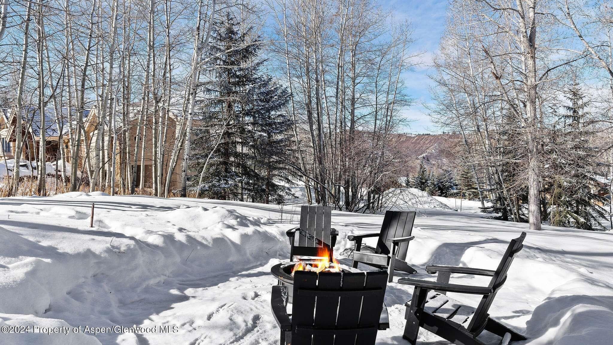 233 Stellar Lane, Snowmass Village, CO 81615 - Photo 31