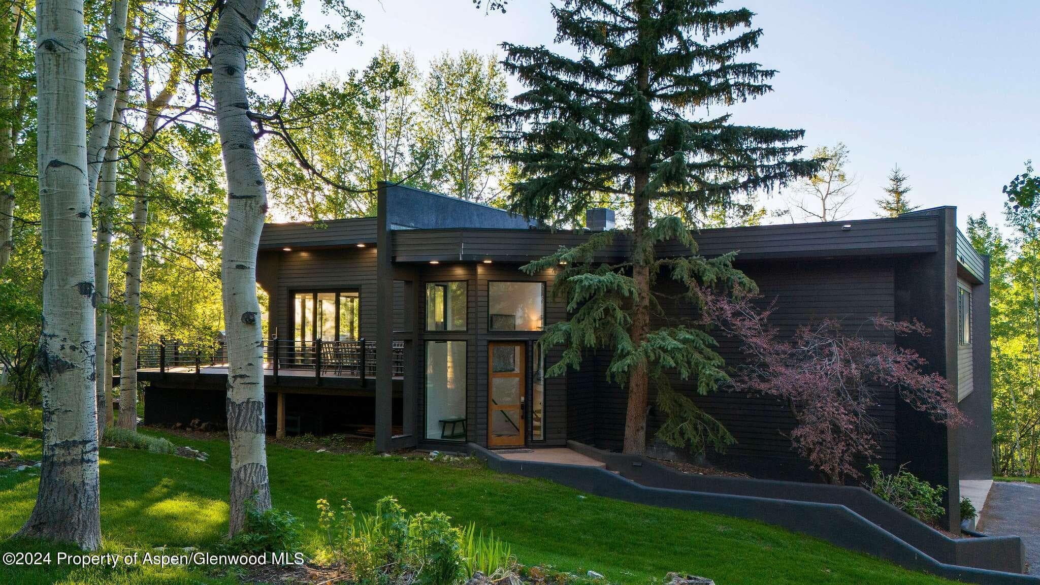 233 Stellar Lane, Snowmass Village, CO 81615 - Photo 35