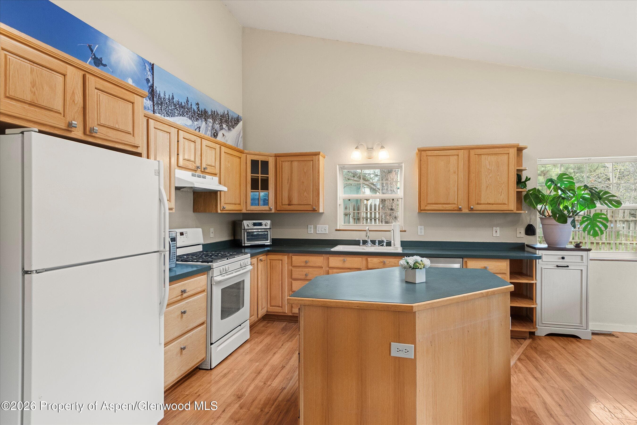 165 Summit Drive, Carbondale, CO 81623 - Photo 7