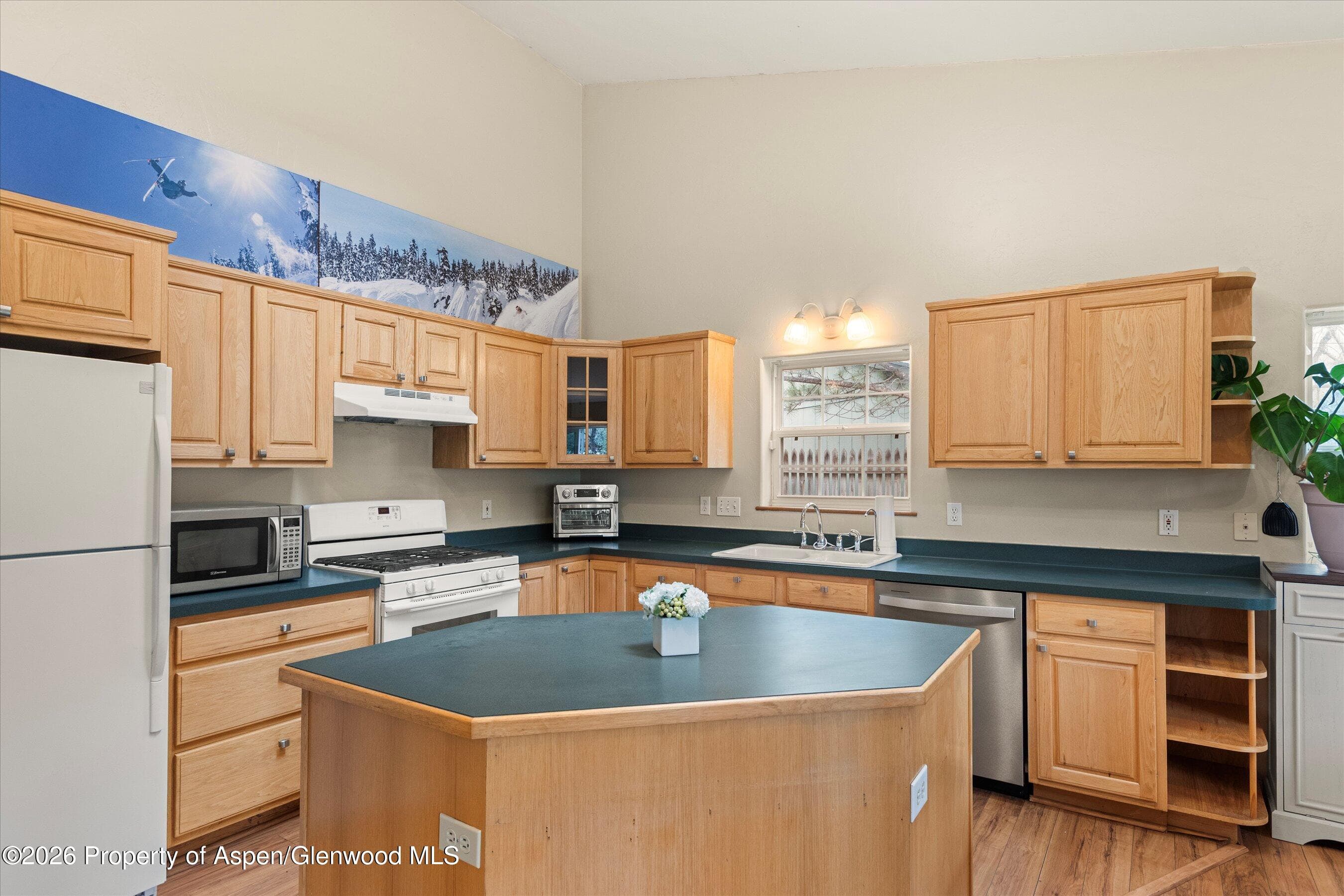 165 Summit Drive, Carbondale, CO 81623 - Photo 8