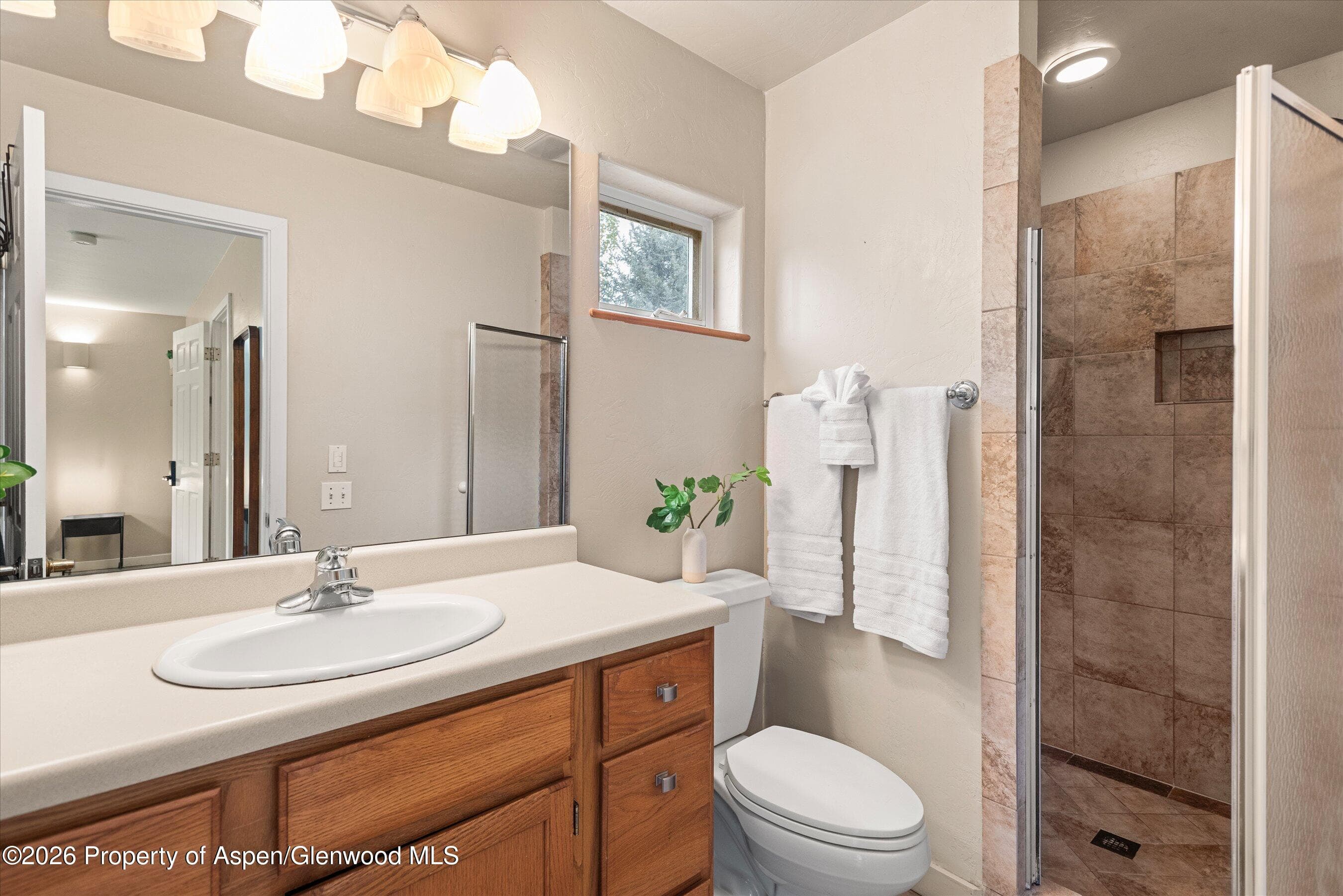 165 Summit Drive, Carbondale, CO 81623 - Photo 12