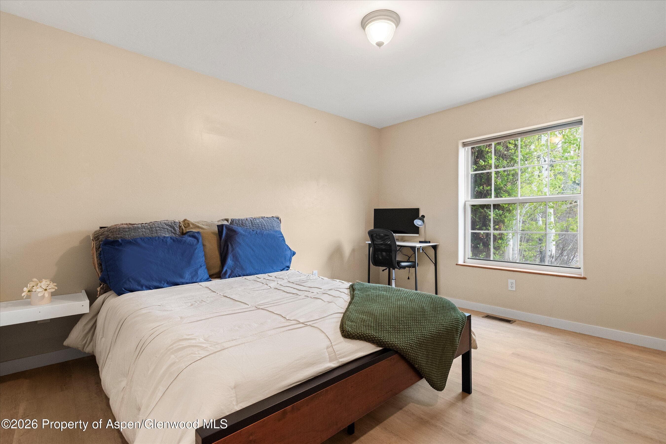 165 Summit Drive, Carbondale, CO 81623 - Photo 13