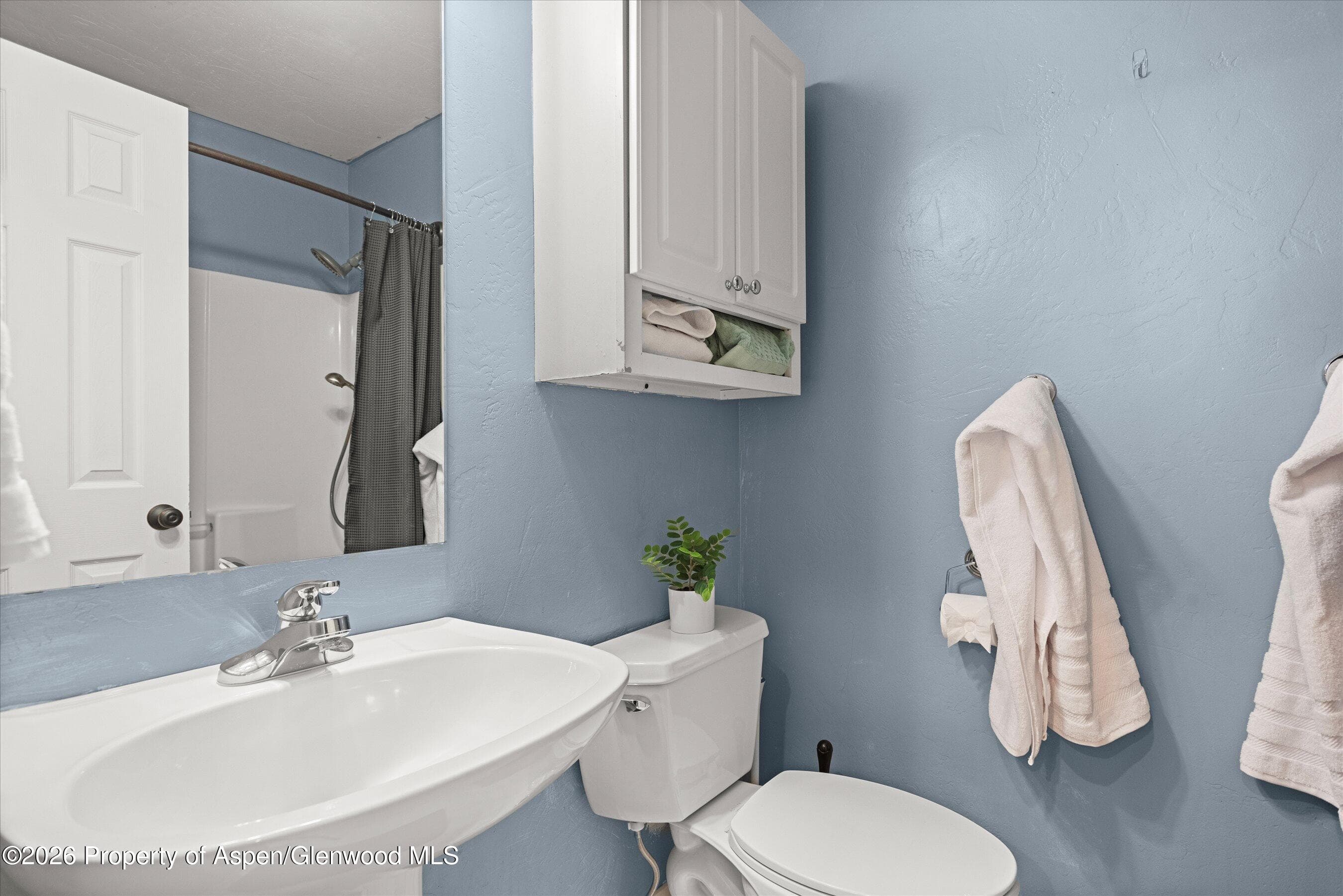 165 Summit Drive, Carbondale, CO 81623 - Photo 15