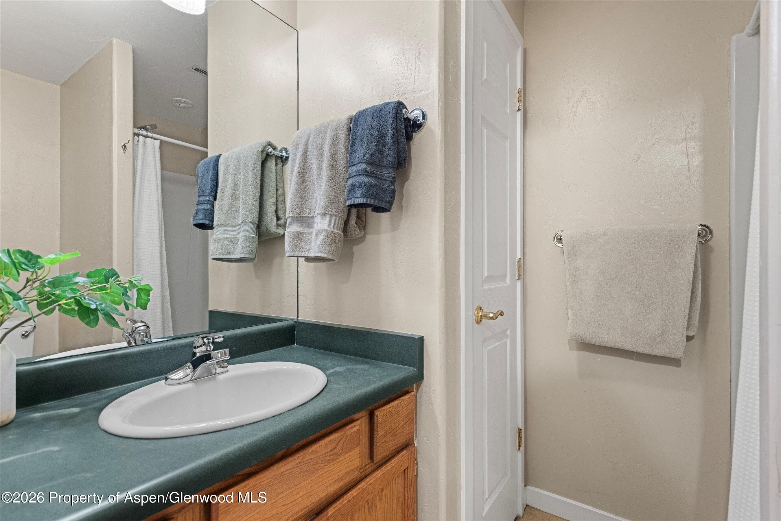 165 Summit Drive, Carbondale, CO 81623 - Photo 21