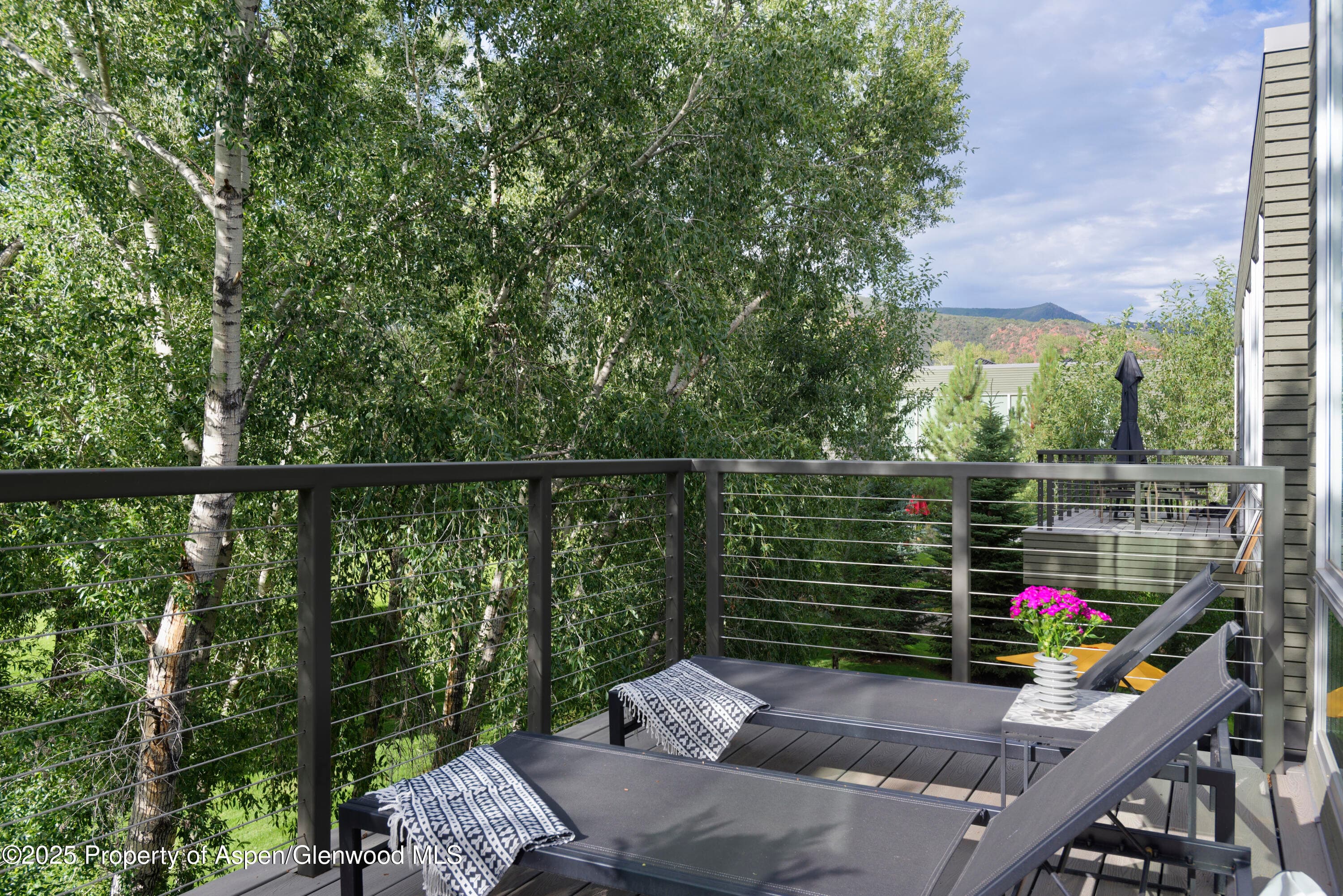 104 Evans Road 207, Basalt, CO 81621 - Photo 10