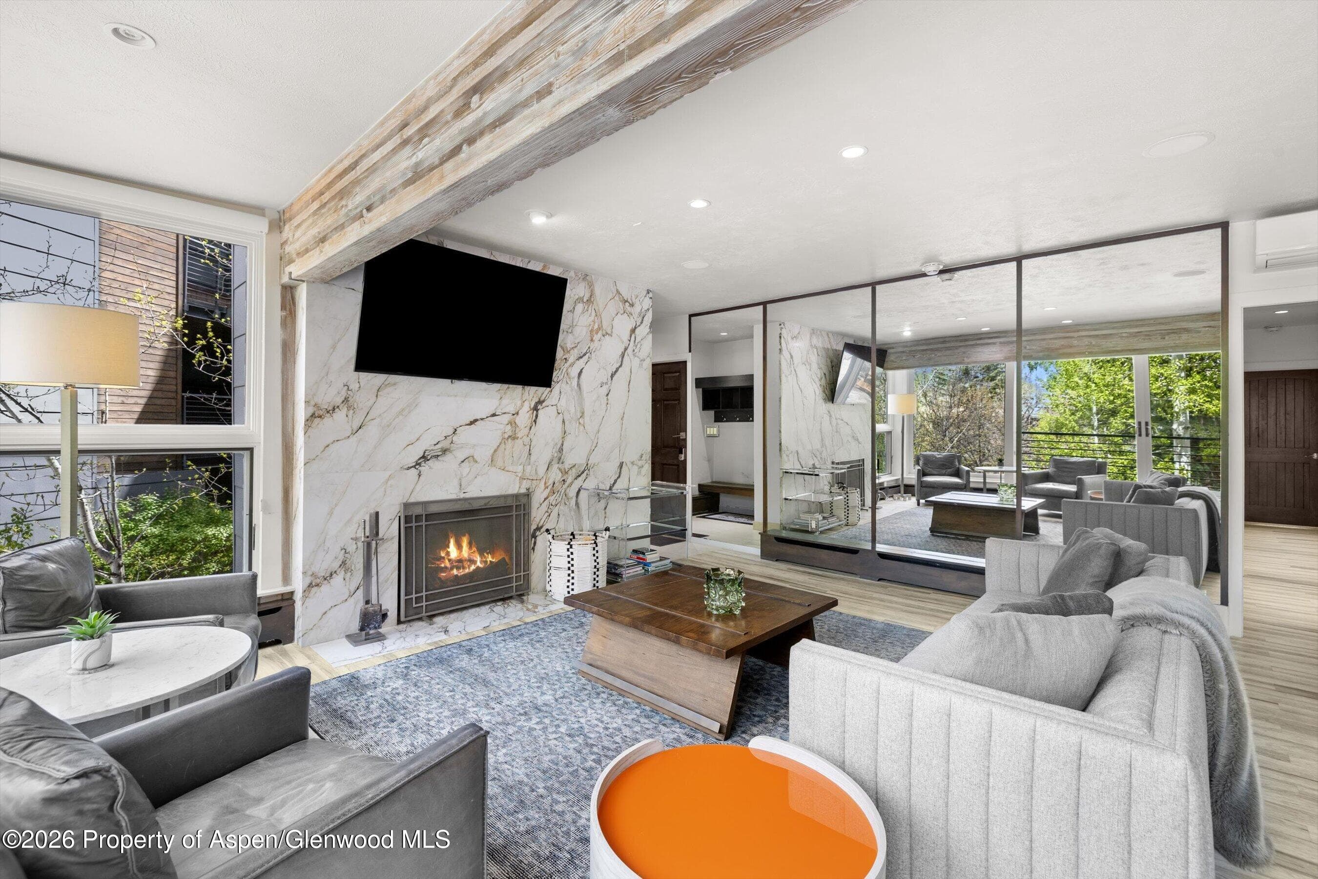 738 S Galena Street 1-C, Aspen, CO 81611 - Photo 2