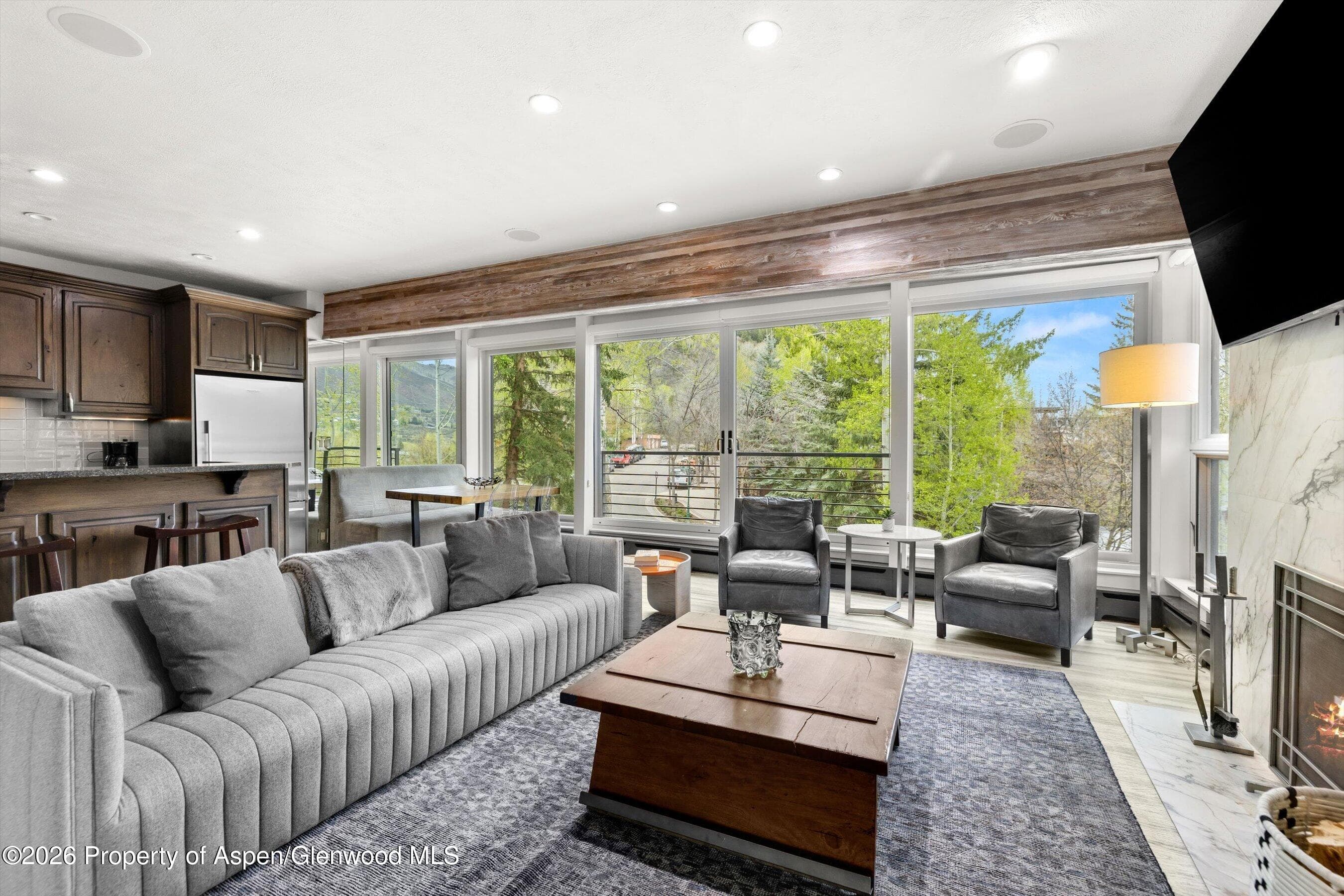 738 S Galena Street 1-C, Aspen, CO 81611 - Photo 3