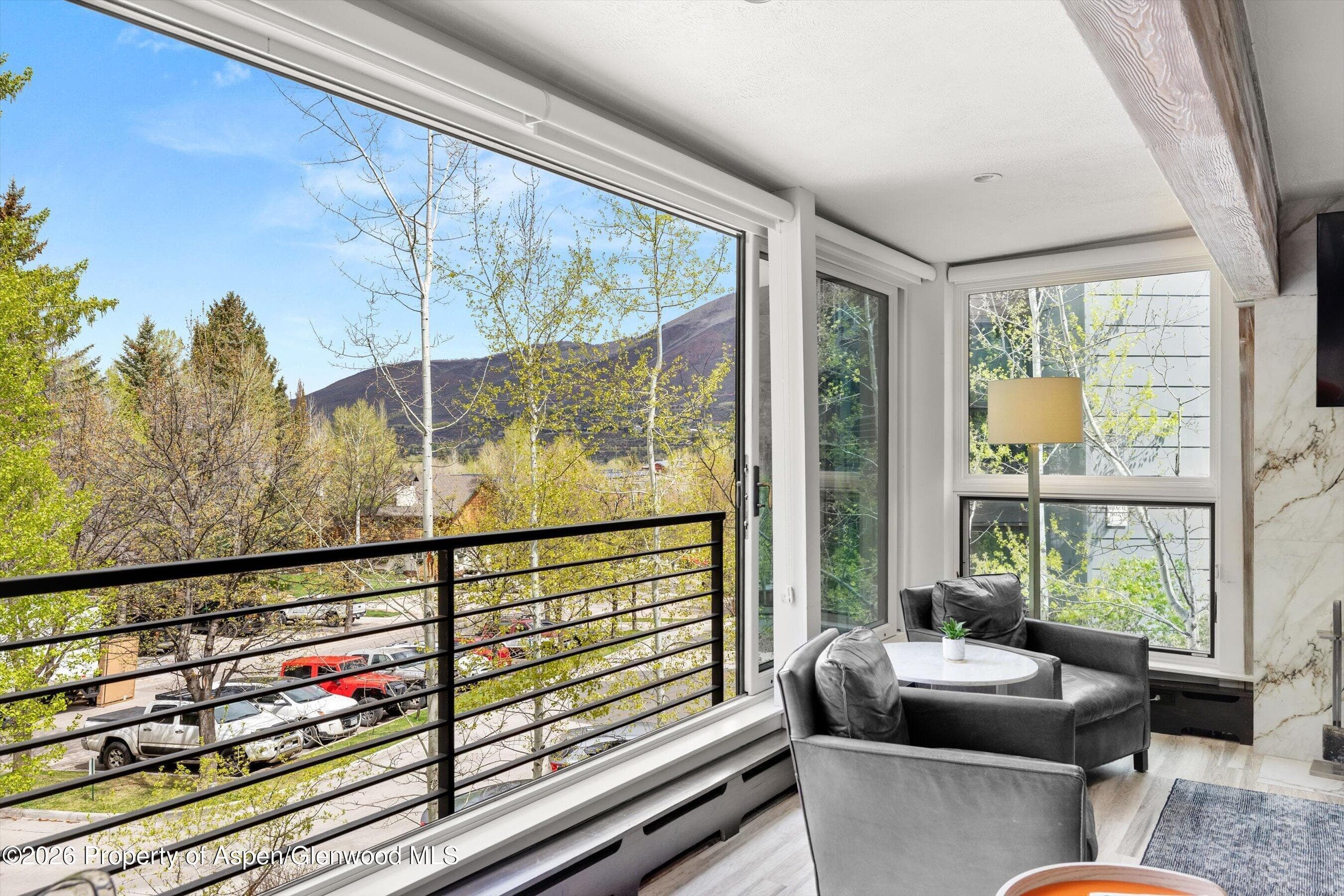 738 S Galena Street 1-C, Aspen, CO 81611 - Photo 4