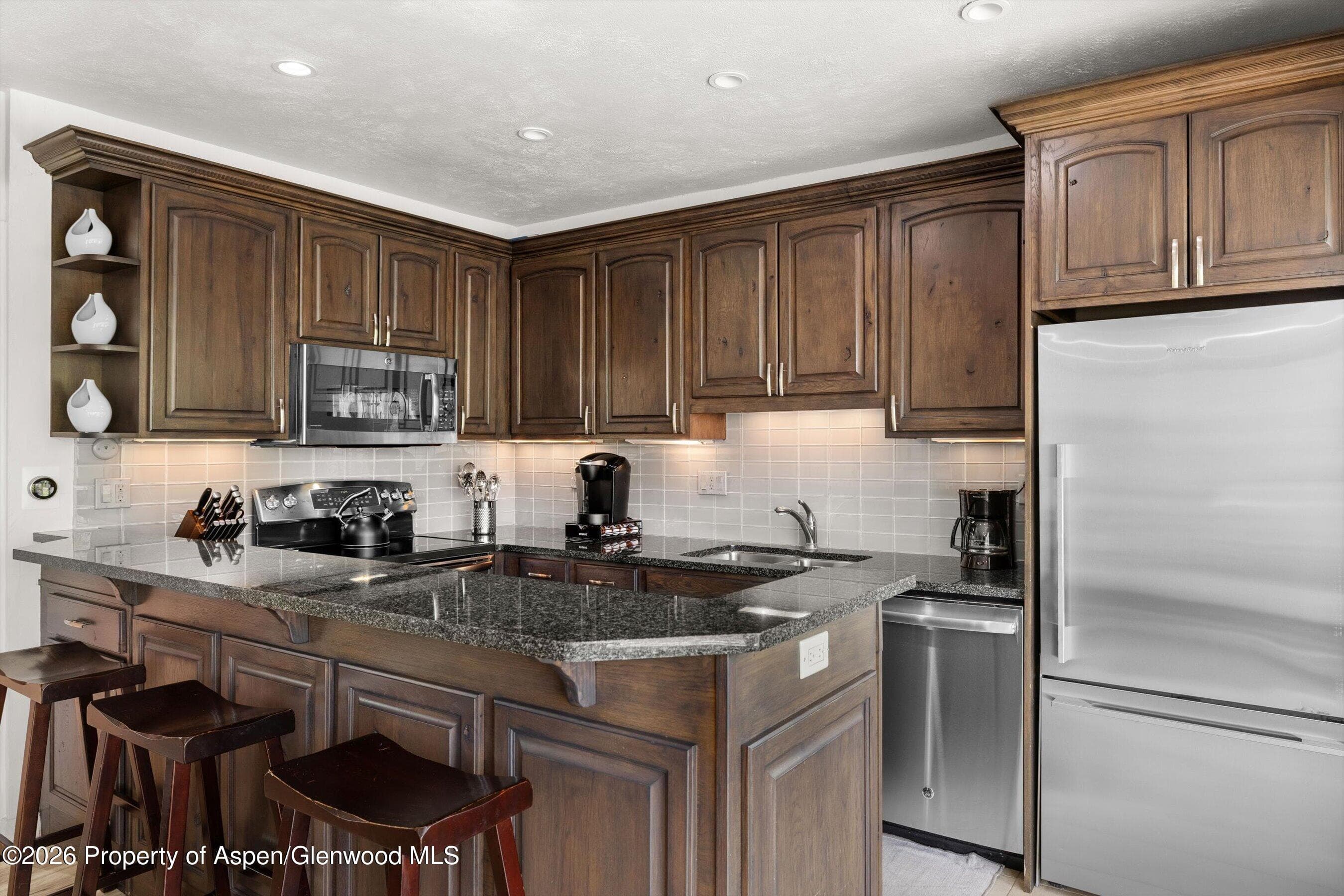 738 S Galena Street 1-C, Aspen, CO 81611 - Photo 5