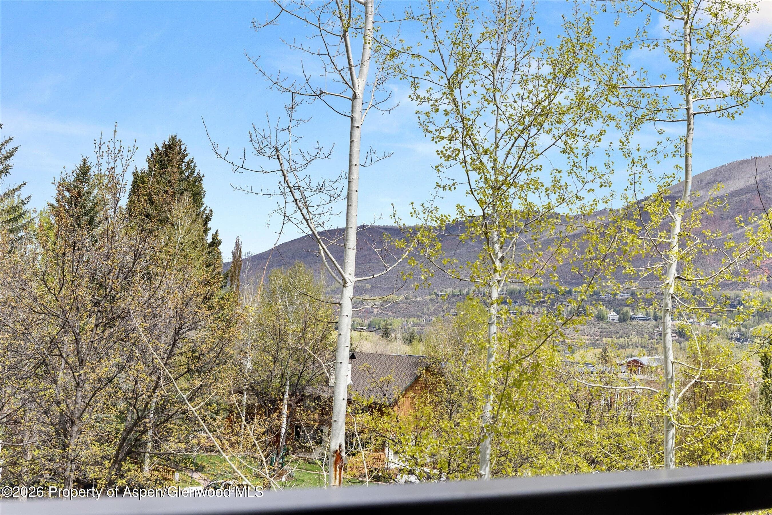 738 S Galena Street 1-C, Aspen, CO 81611 - Photo 14