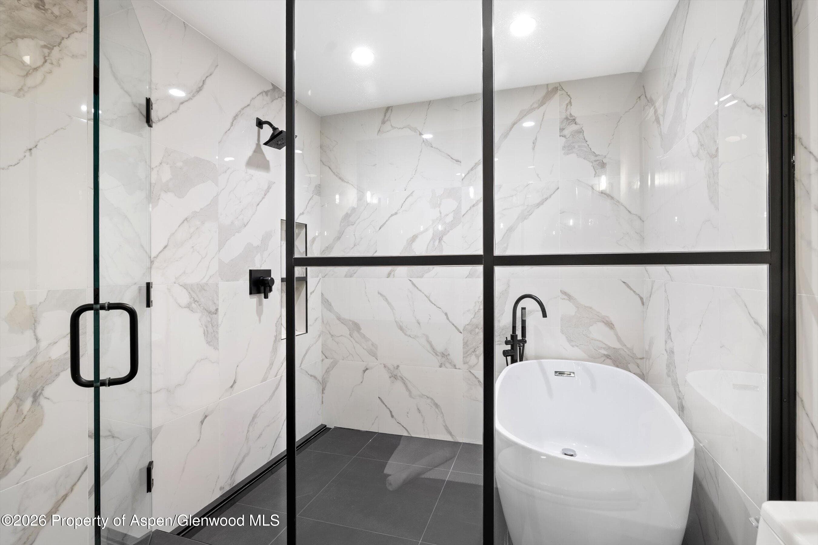 738 S Galena Street 1-C, Aspen, CO 81611 - Photo 9