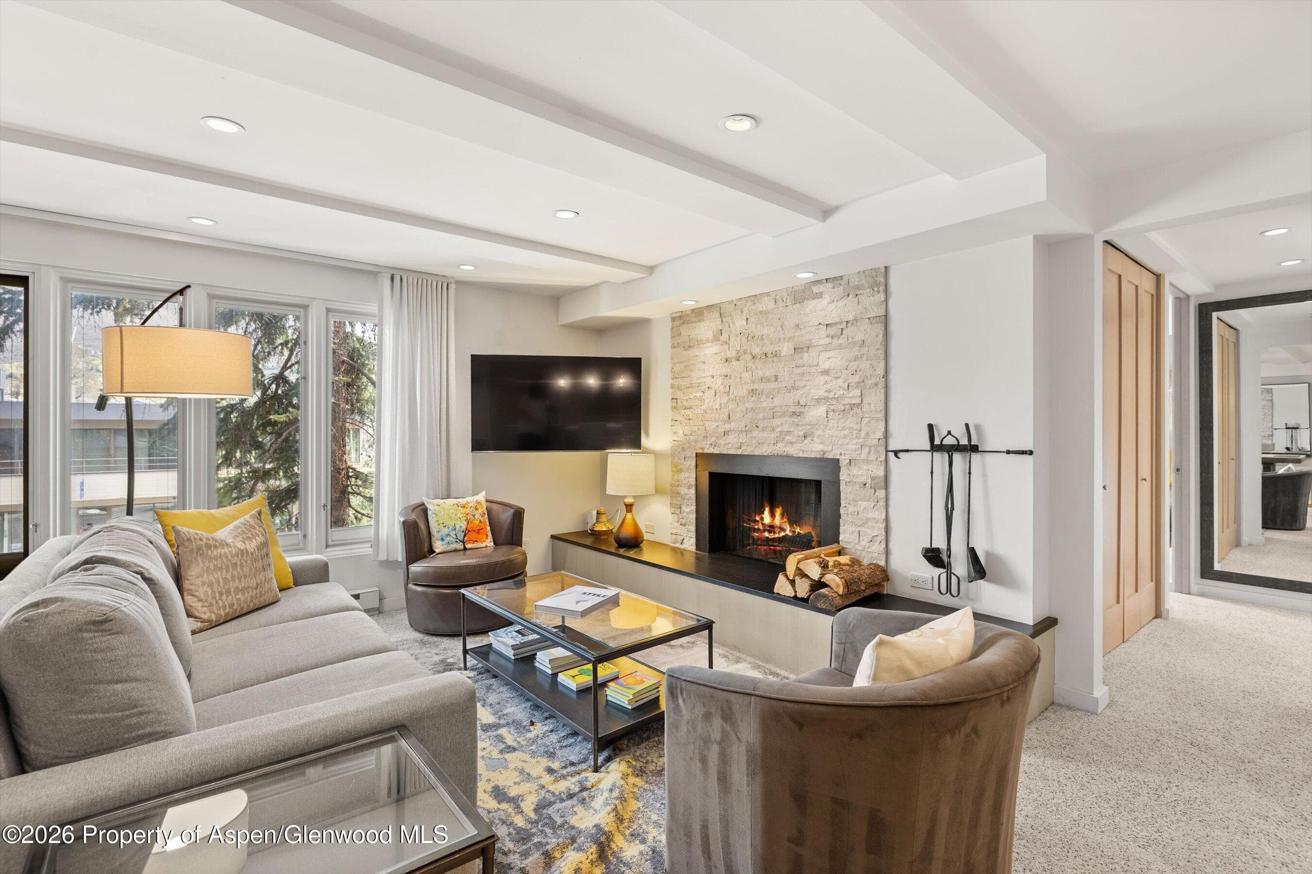 731 E Durant Avenue 10, Aspen, CO 81611