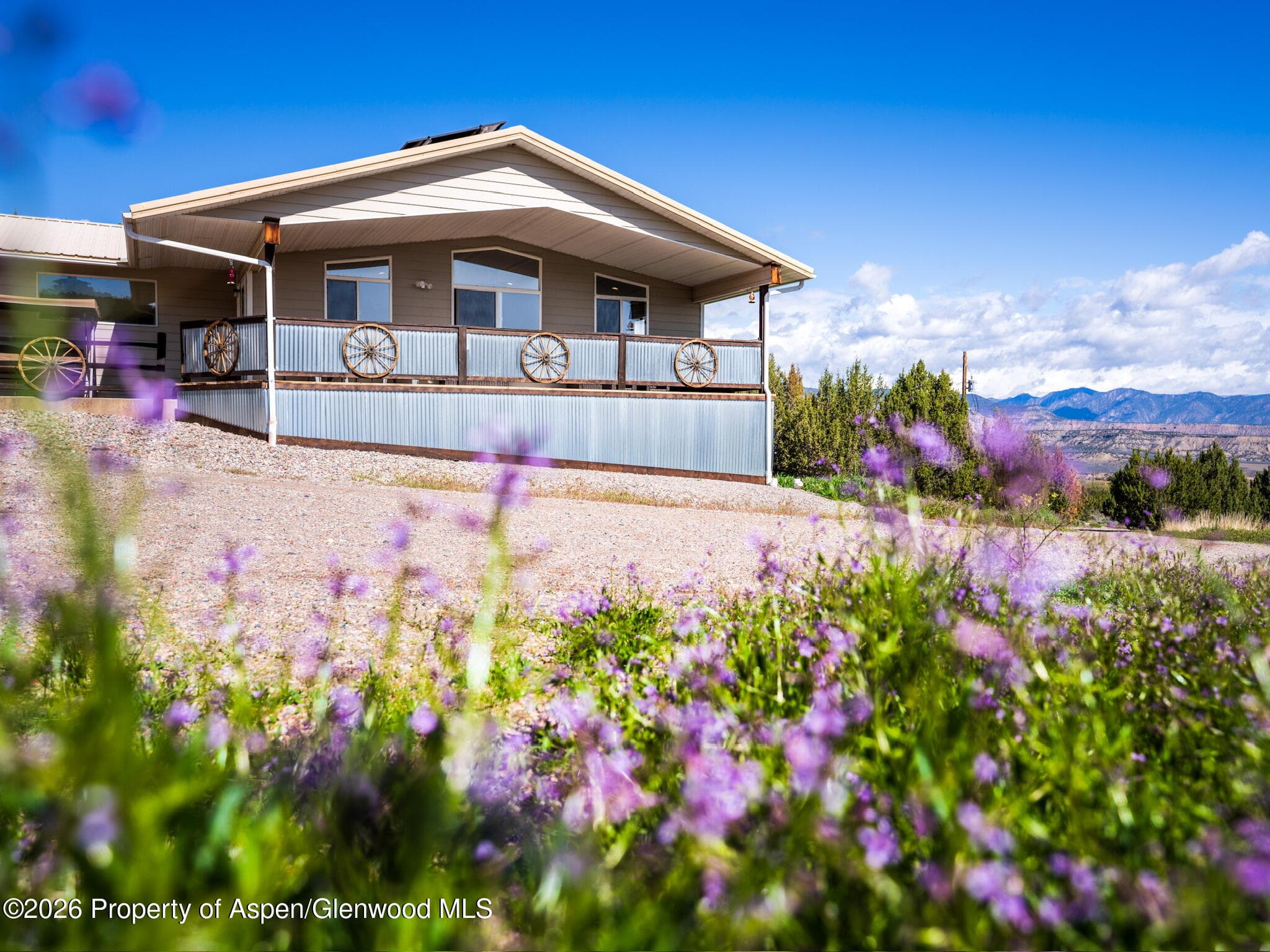 59 County Road 317, Rifle, CO 81650 - Photo 4