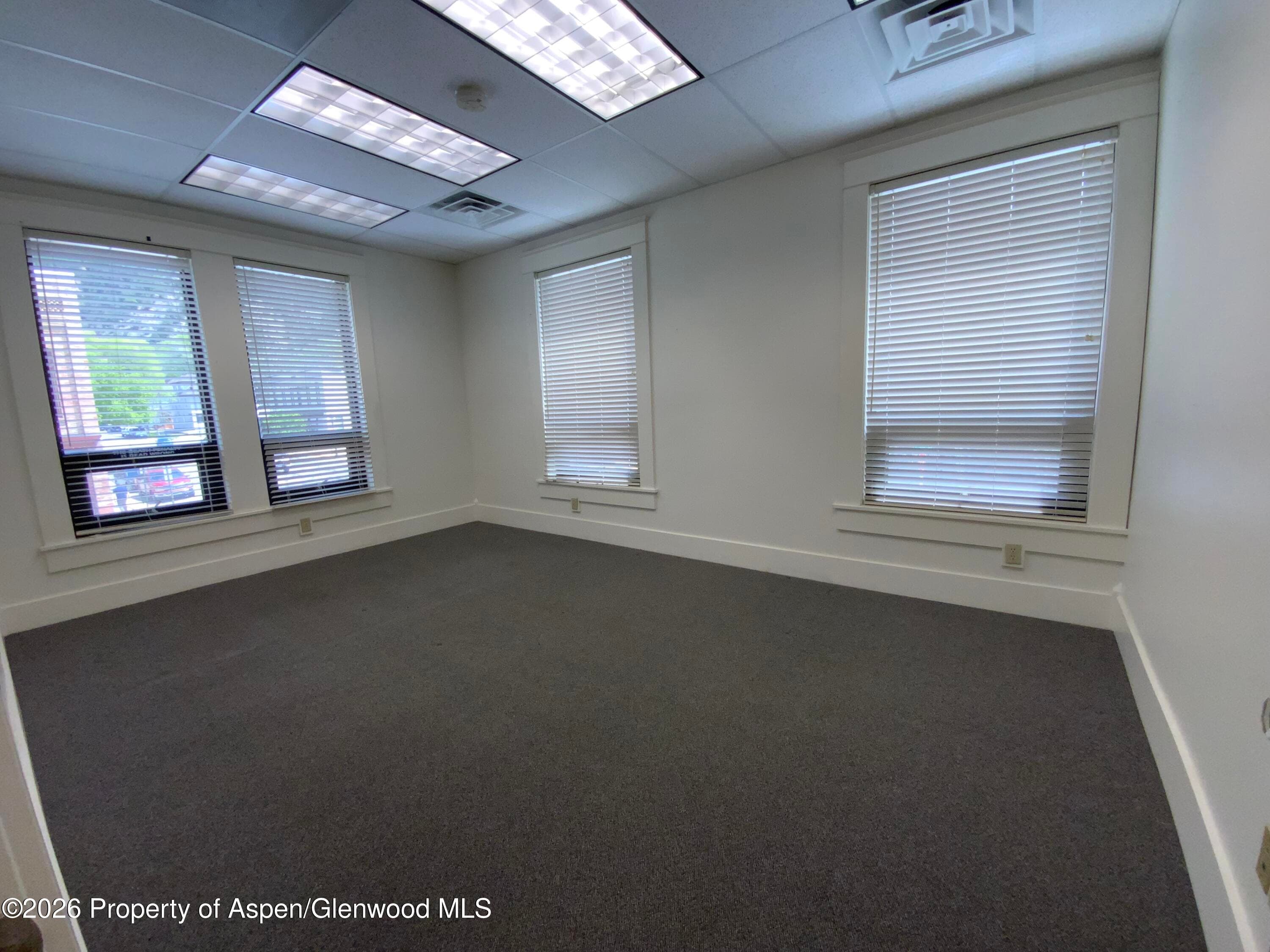 311 1/2 8th Street, Glenwood Springs, CO 81601 - Photo 13