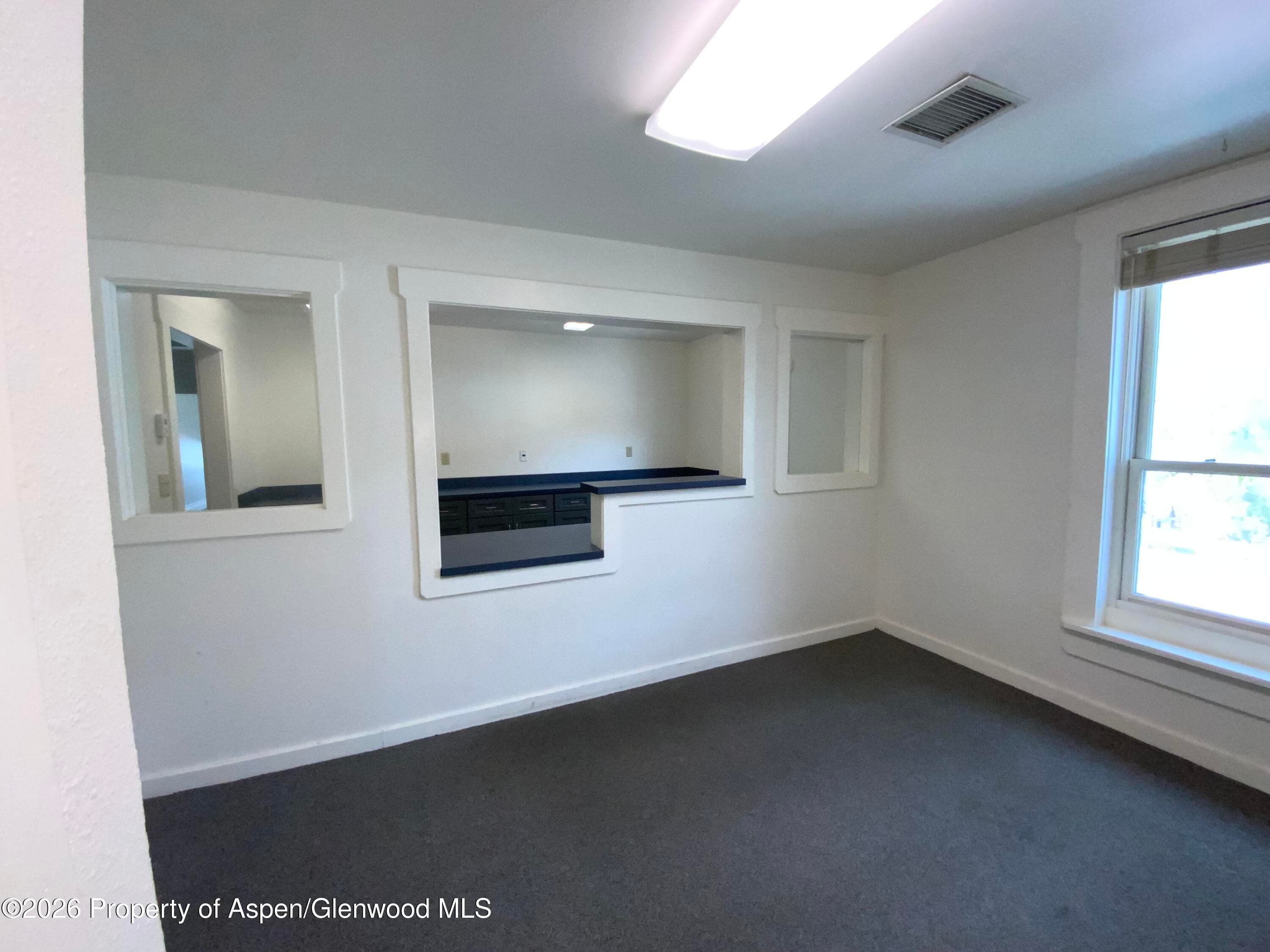 311 1/2 8th Street, Glenwood Springs, CO 81601 - Photo 29