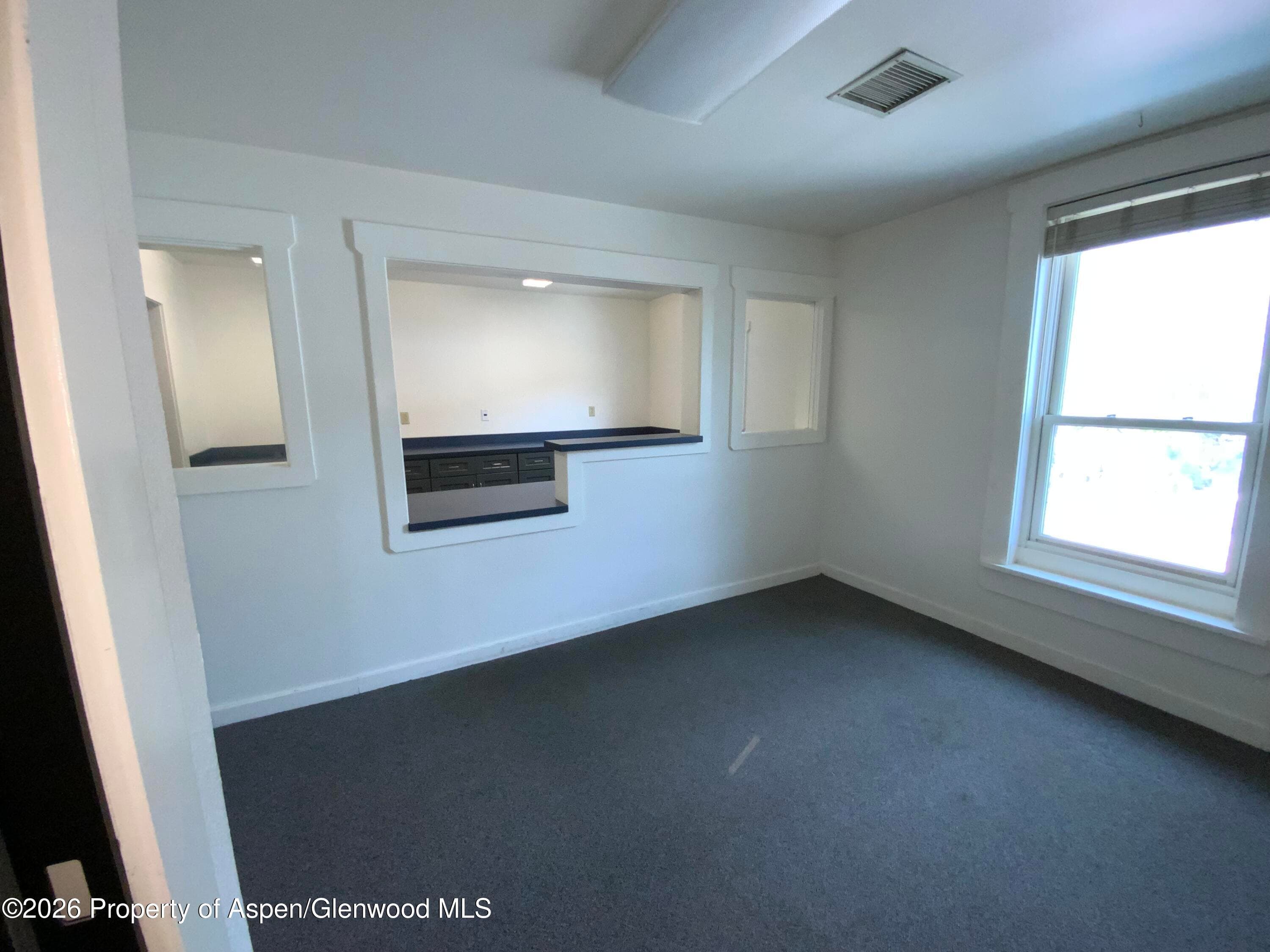 311 1/2 8th Street, Glenwood Springs, CO 81601 - Photo 30