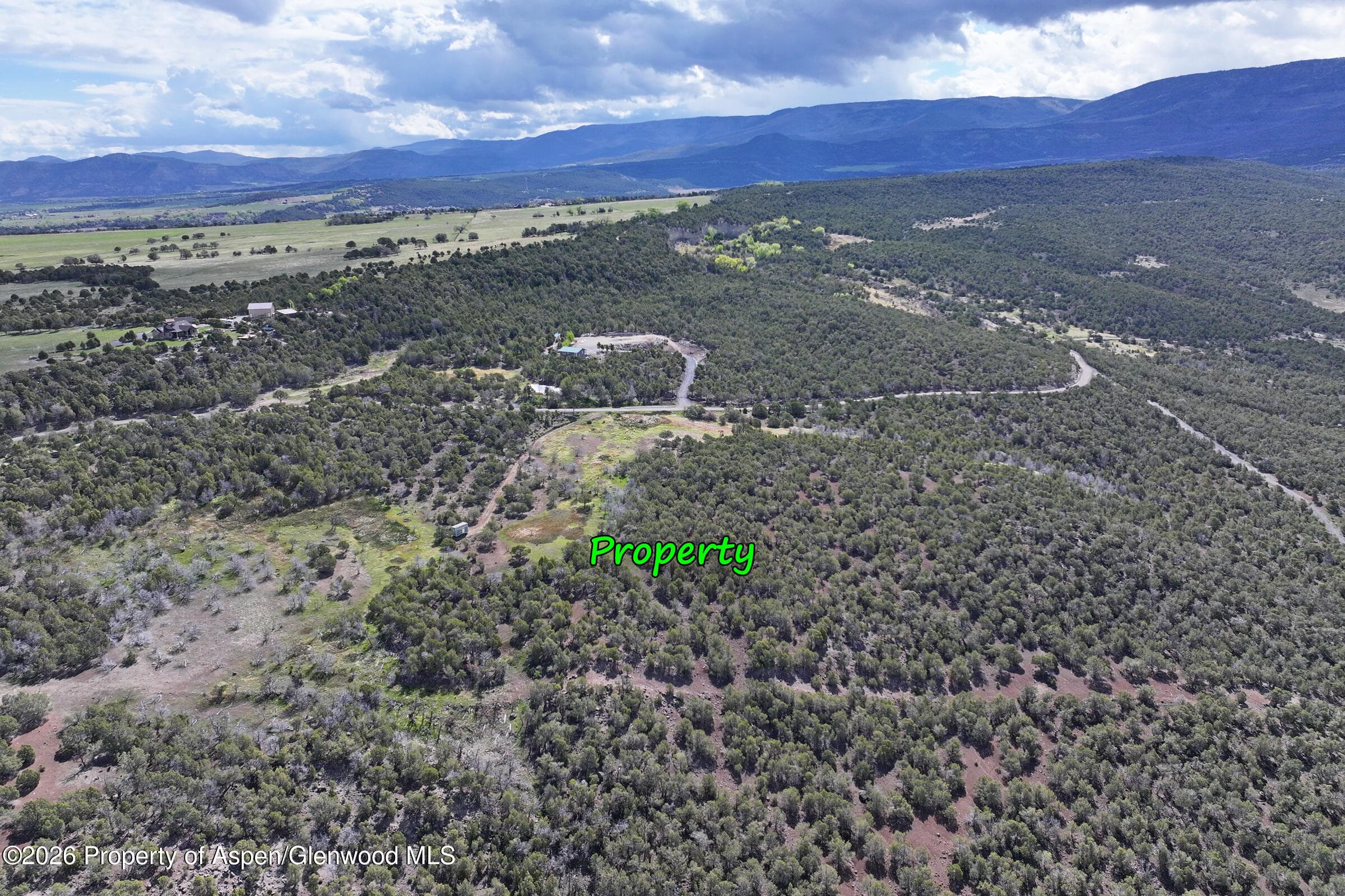 12705 55 Road, Collbran, CO 81624 - Photo 4