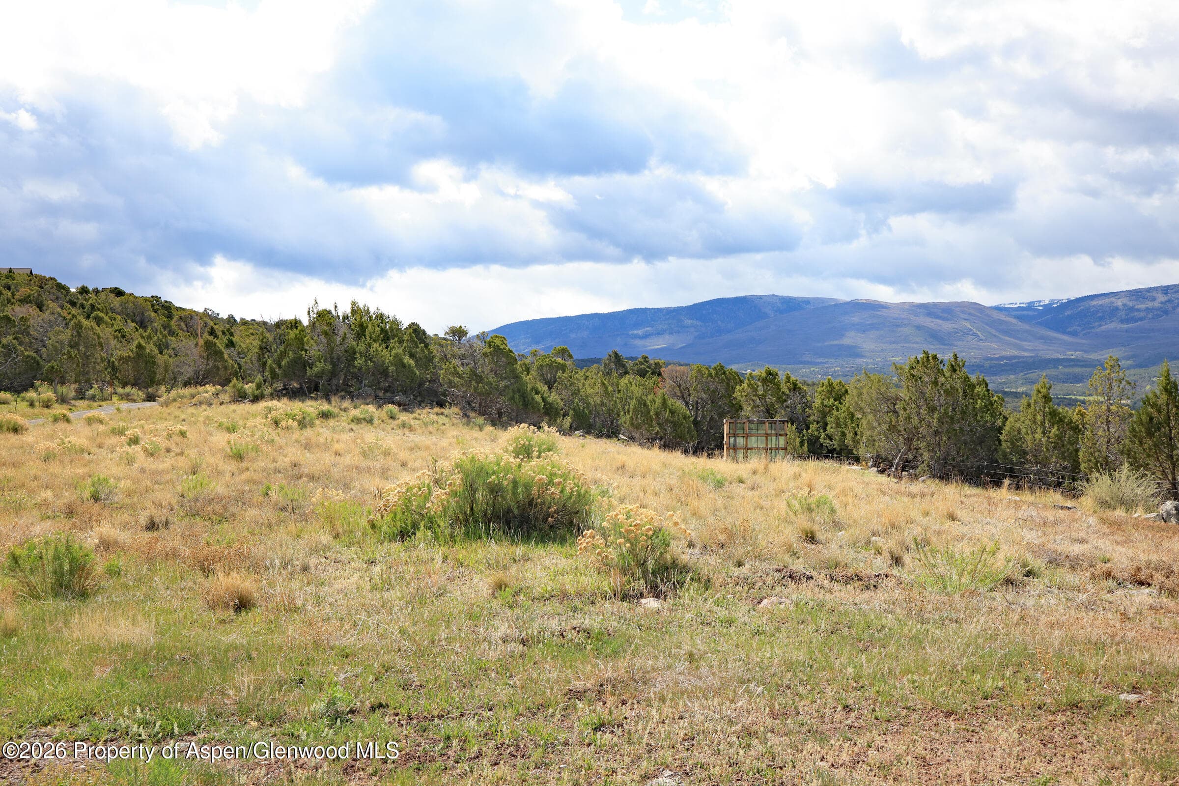 12705 55 Road, Collbran, CO 81624 - Photo 9