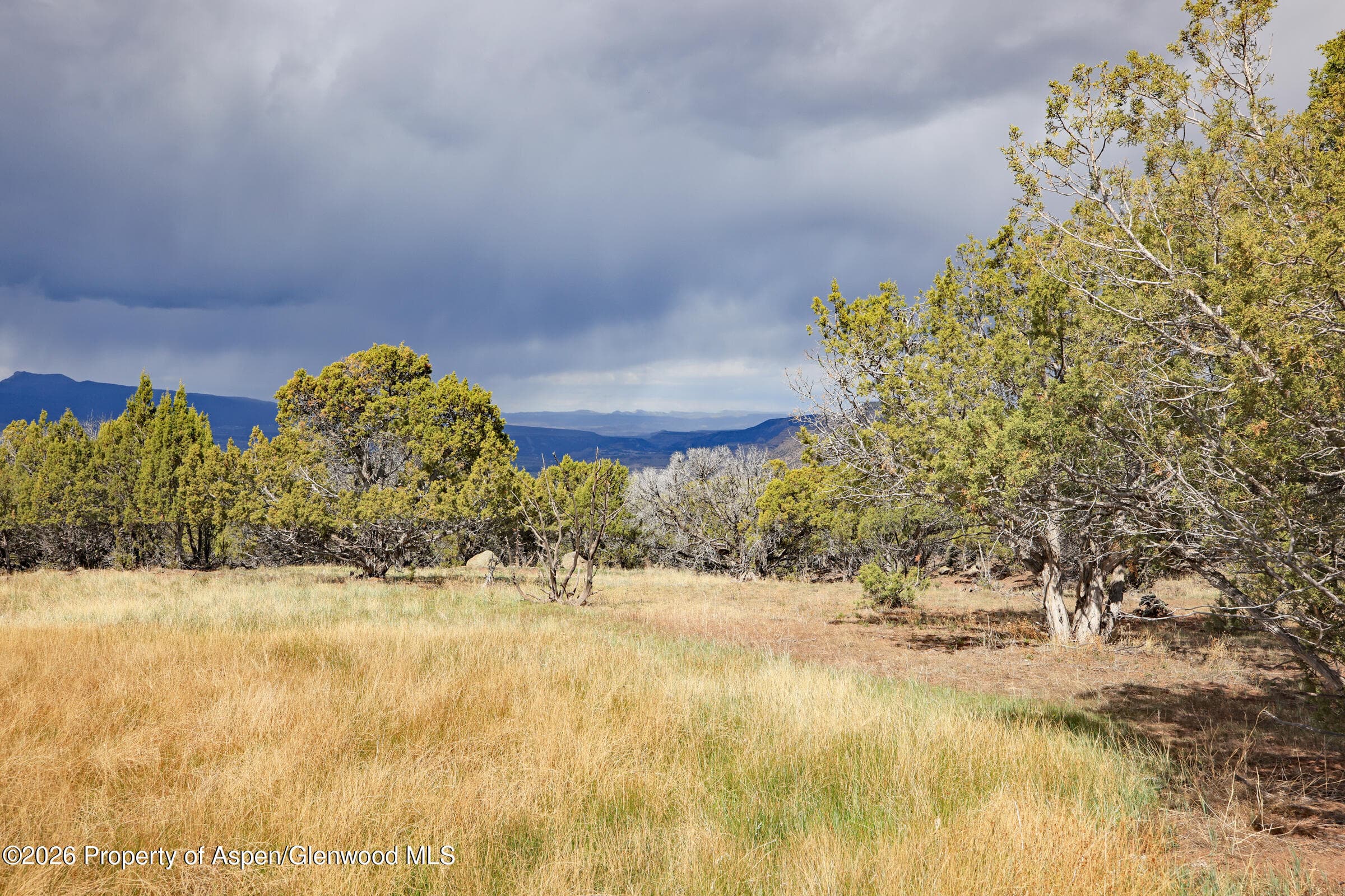 12705 55 Road, Collbran, CO 81624 - Photo 12