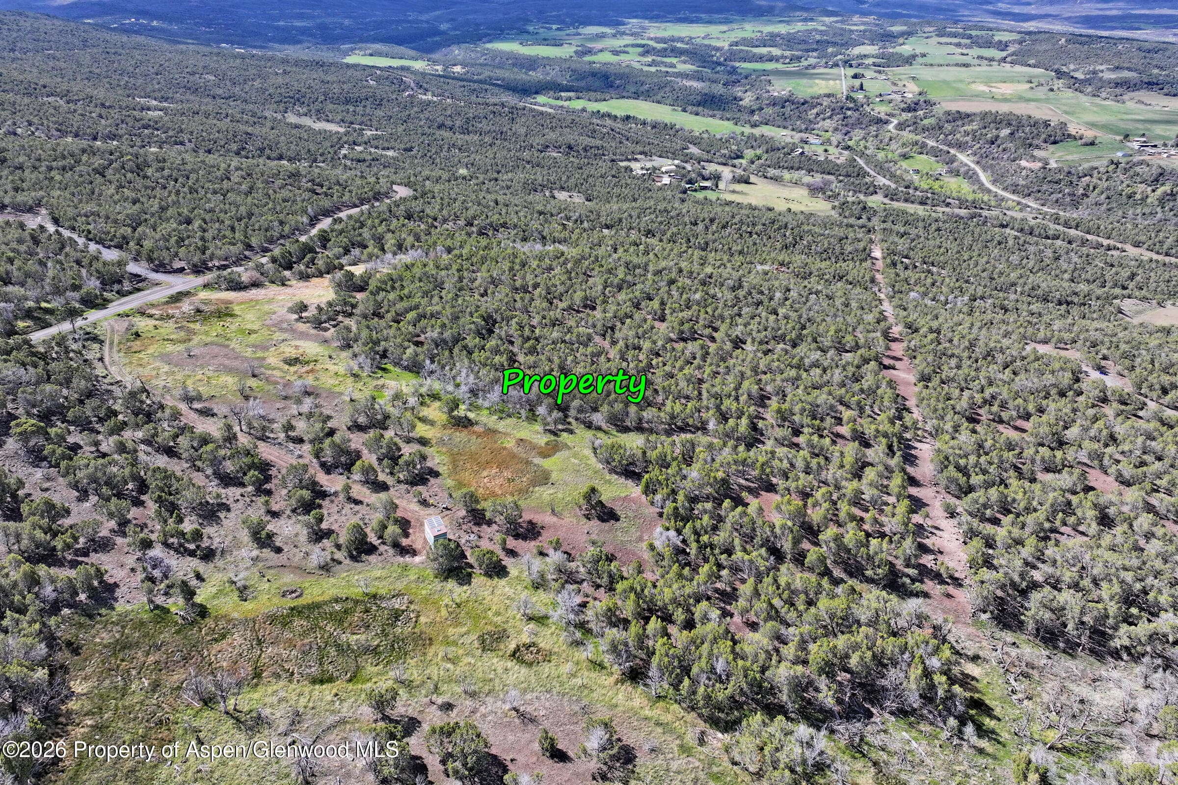 12705 55 Road, Collbran, CO 81624 - Photo 23