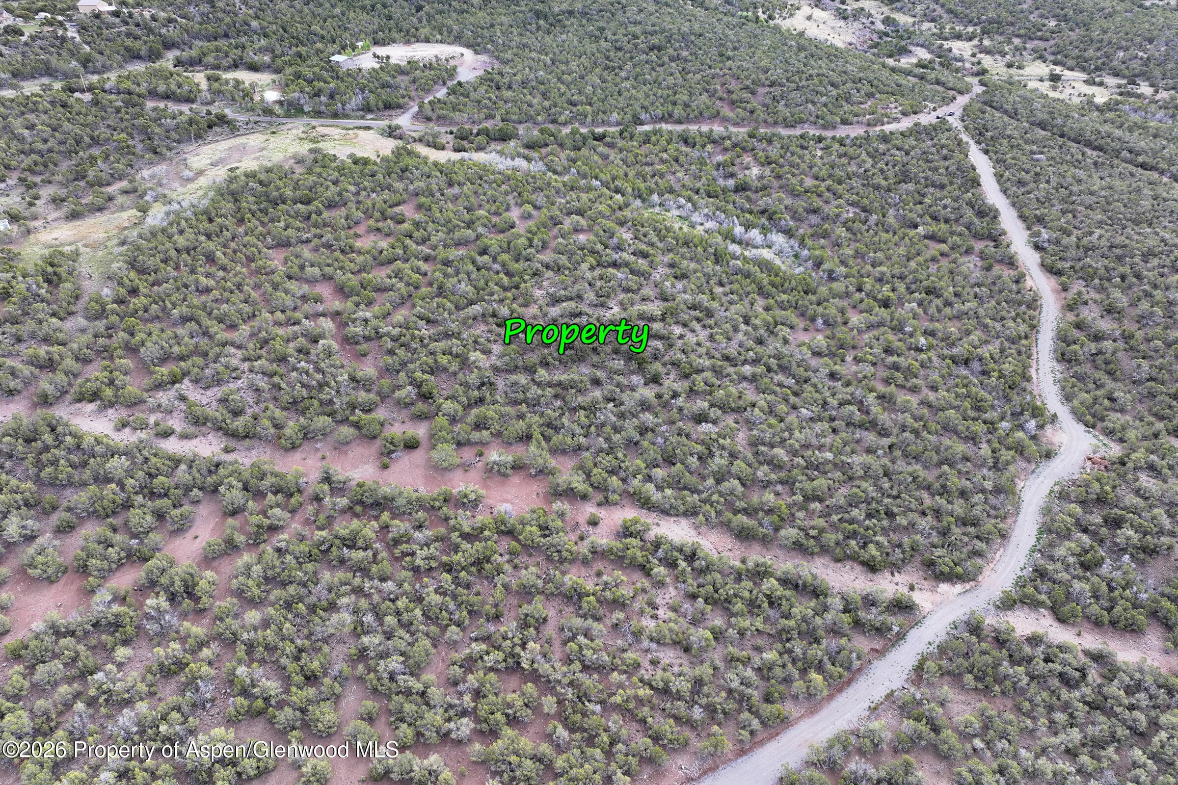 12705 55 Road, Collbran, CO 81624 - Photo 24
