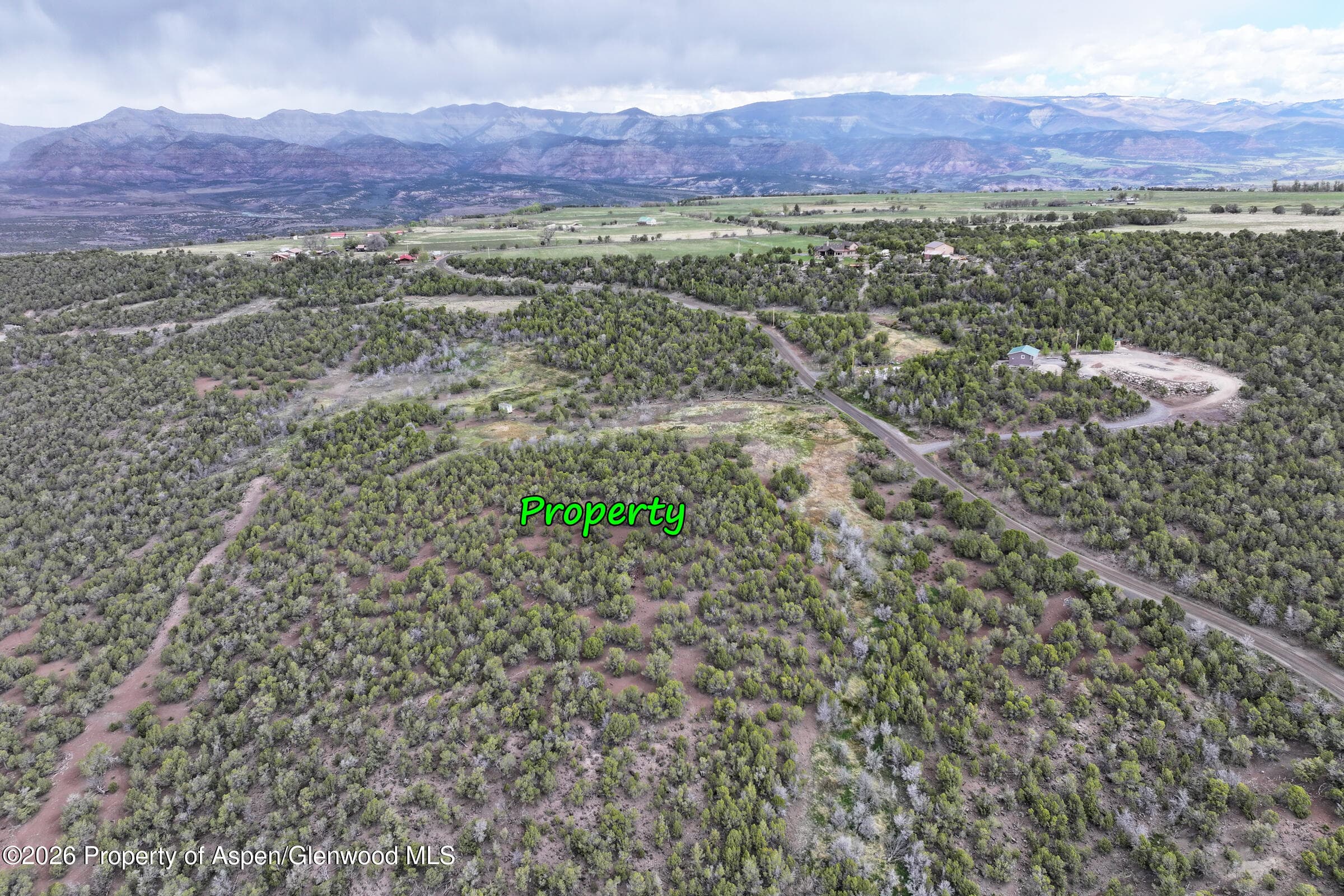 12705 55 Road, Collbran, CO 81624 - Photo 25