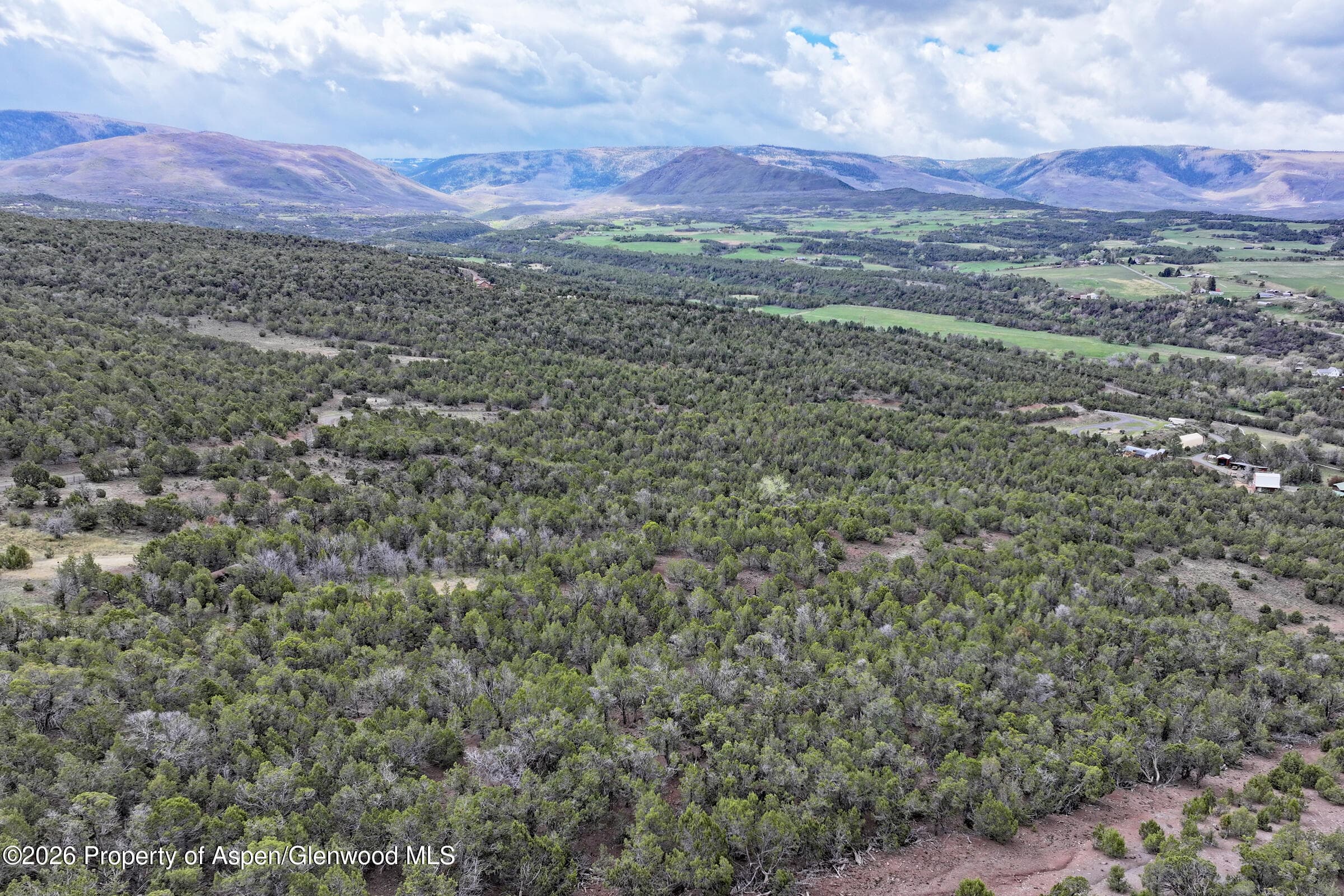 12705 55 Road, Collbran, CO 81624 - Photo 27
