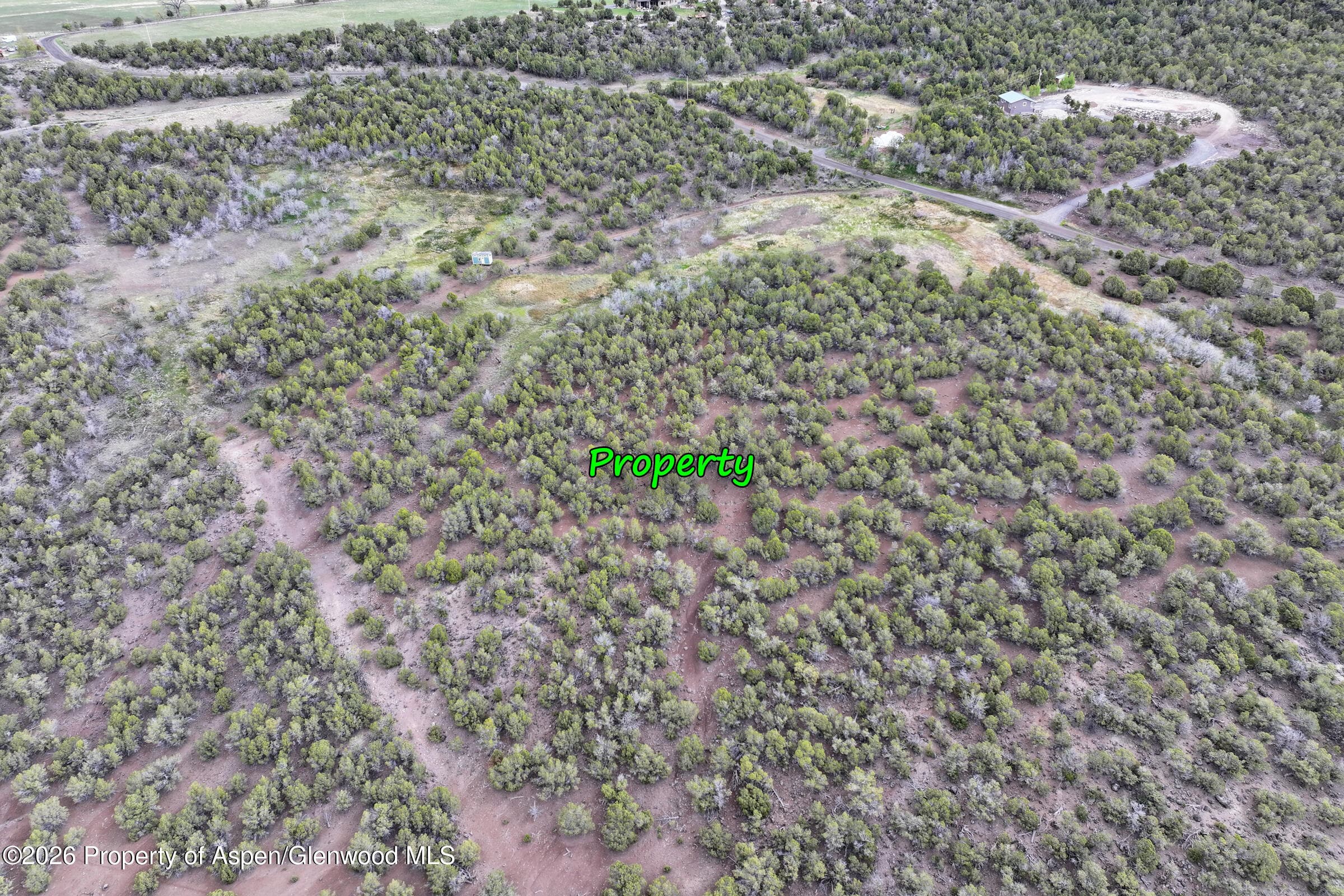 12705 55 Road, Collbran, CO 81624 - Photo 28